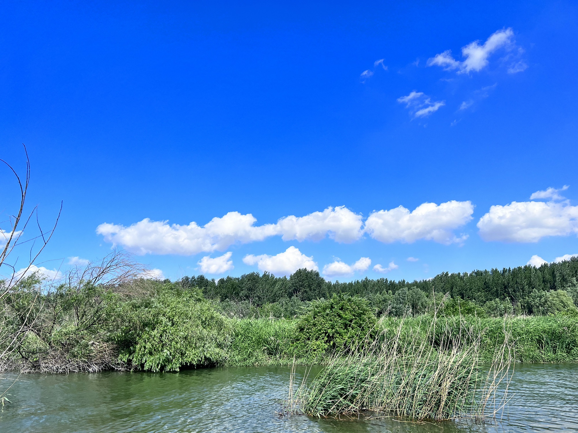白浪河国家湿地公园旅行图片 1