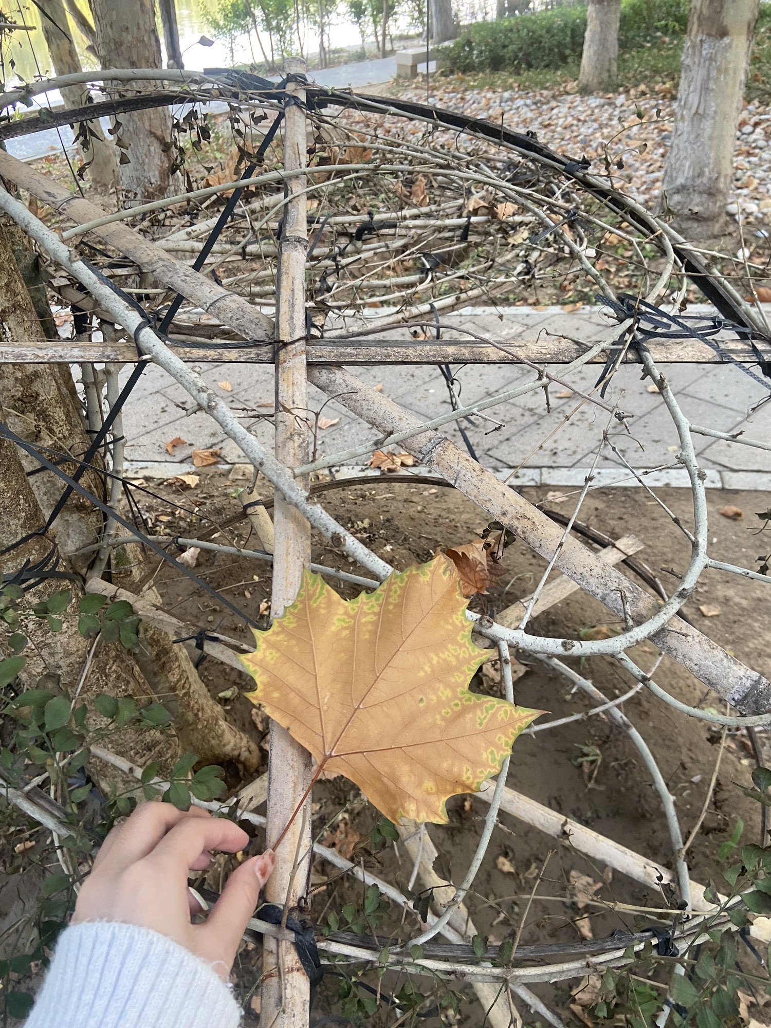 白浪河国家湿地公园旅行图片 1