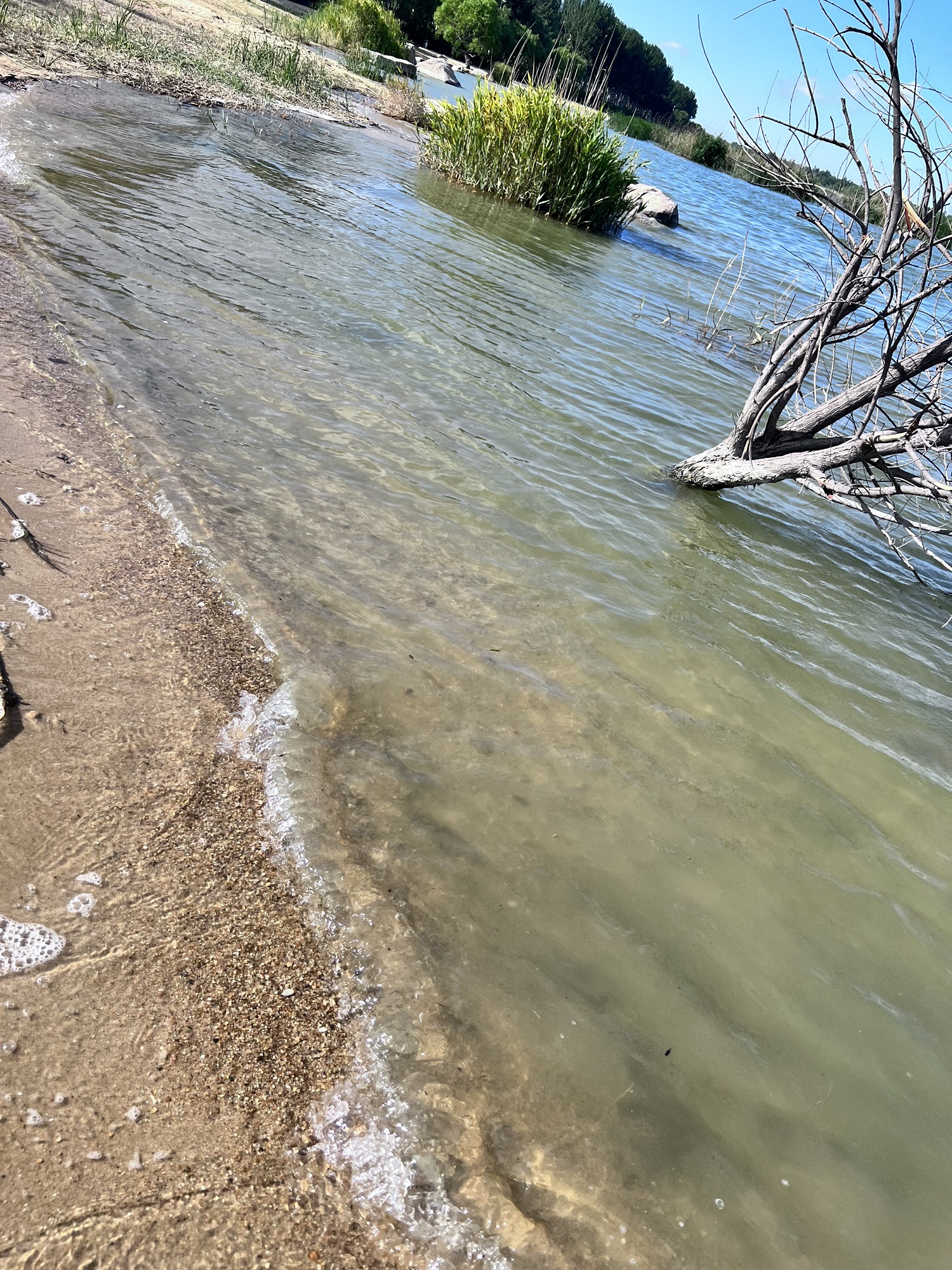 白浪河国家湿地公园旅行图片 3