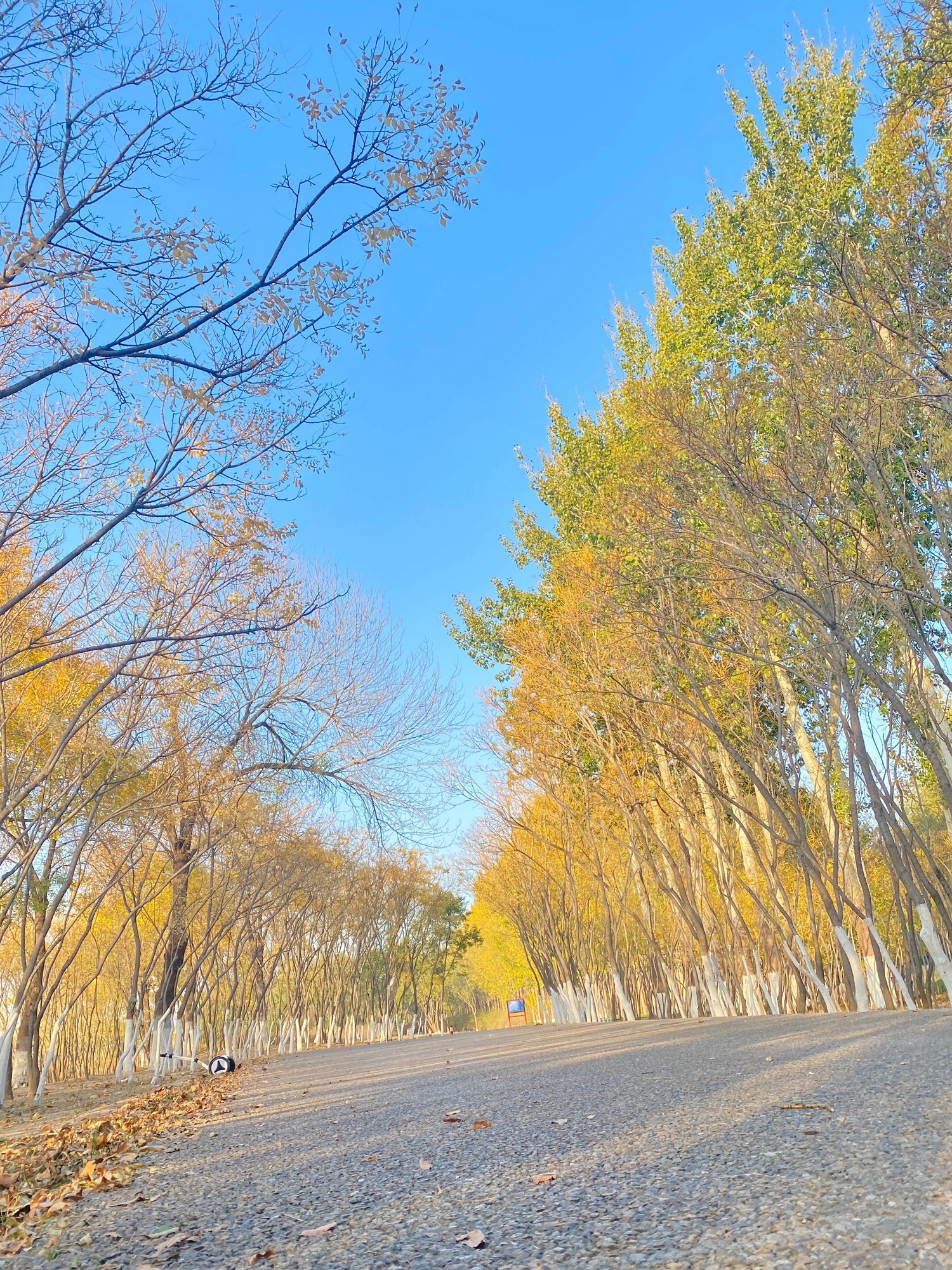 白浪河国家湿地公园旅行图片 3