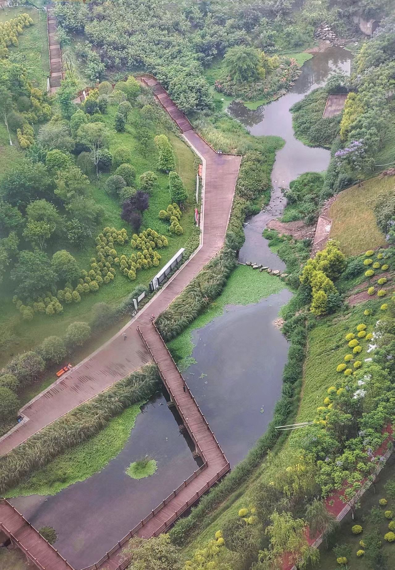 谢家河公园旅行图片 2