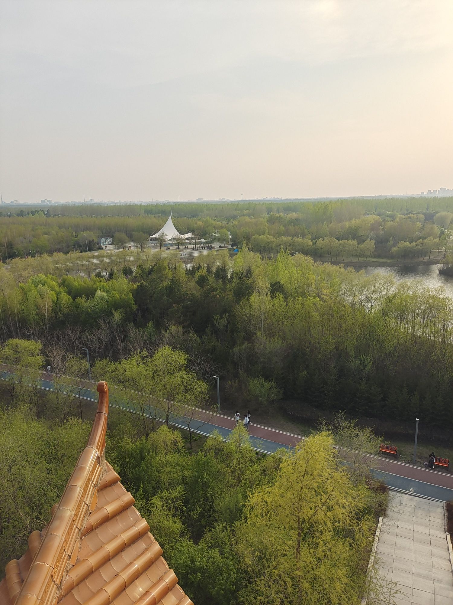 森林植物园旅行图片 3