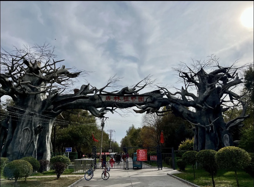 森林植物园旅行图片 1