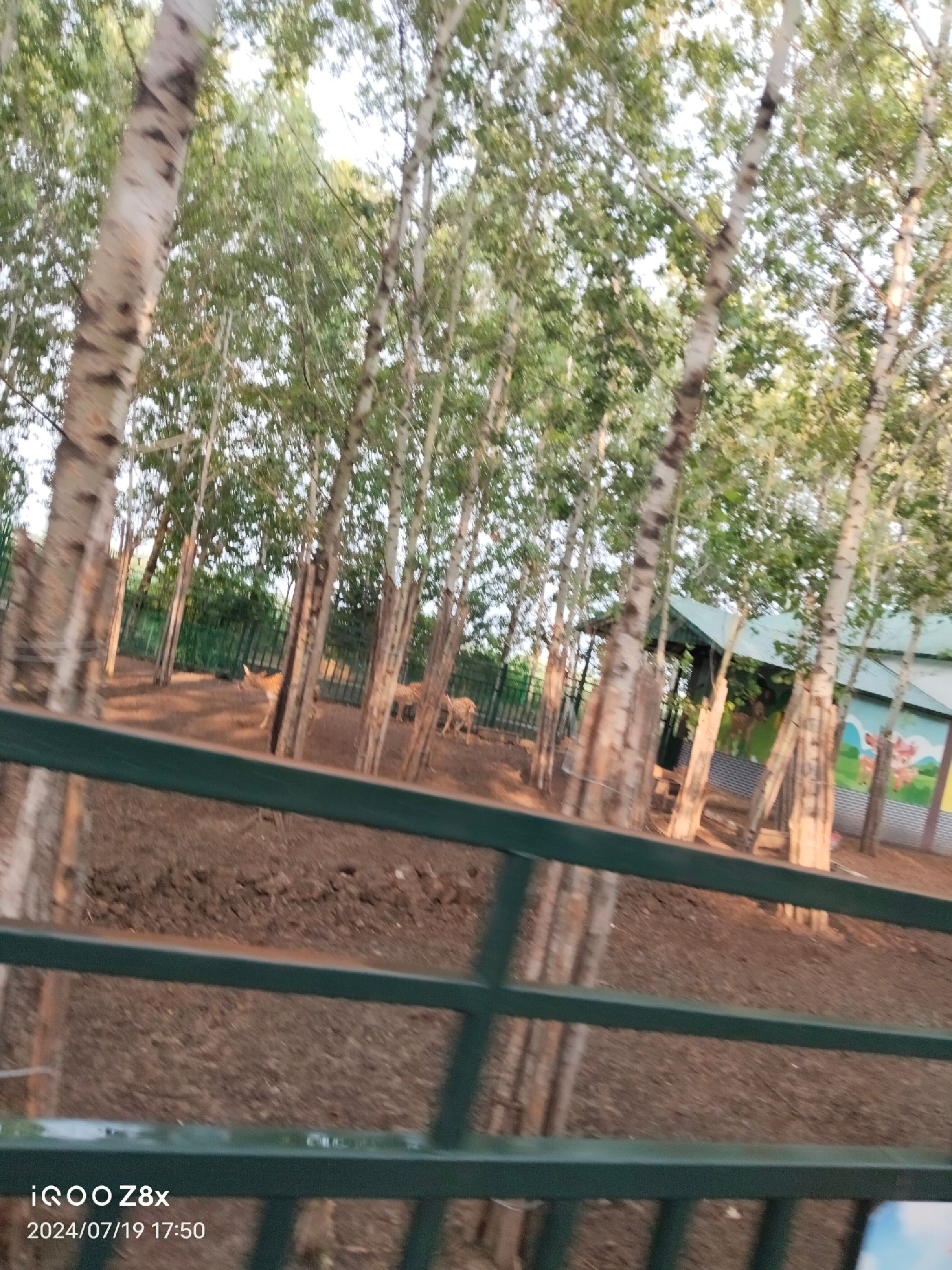 森林植物园旅行图片 3