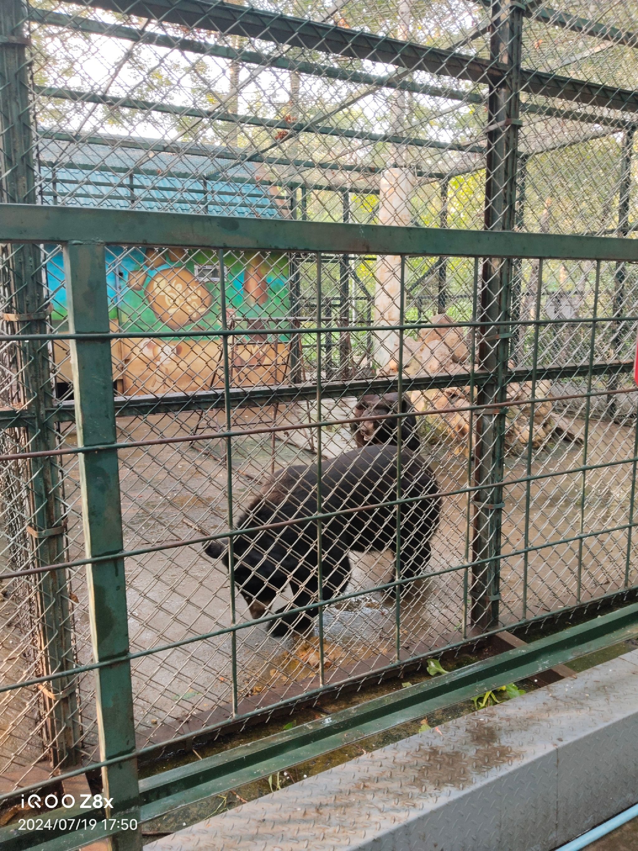 森林植物园旅行图片 2