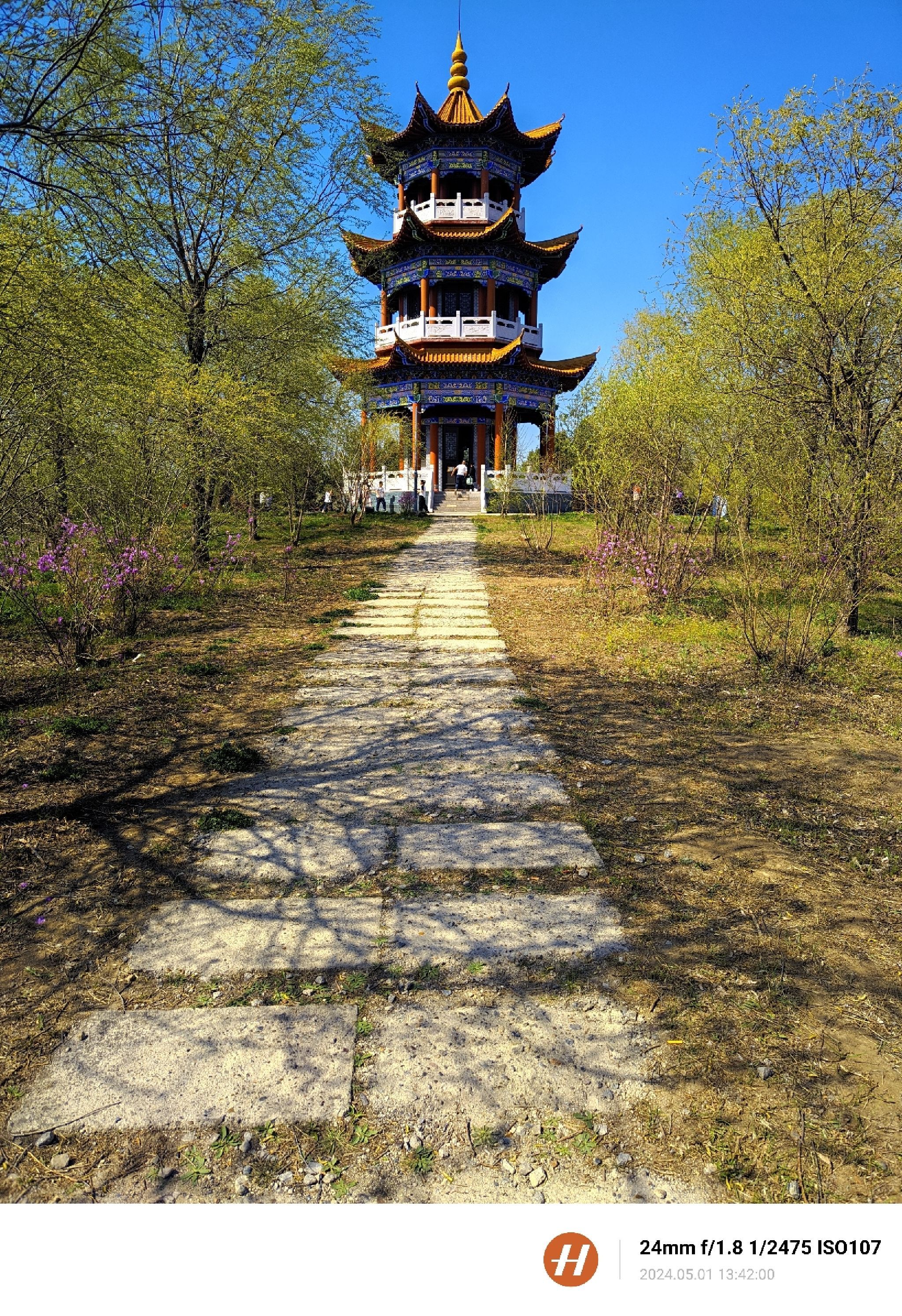 森林植物园旅行图片 1