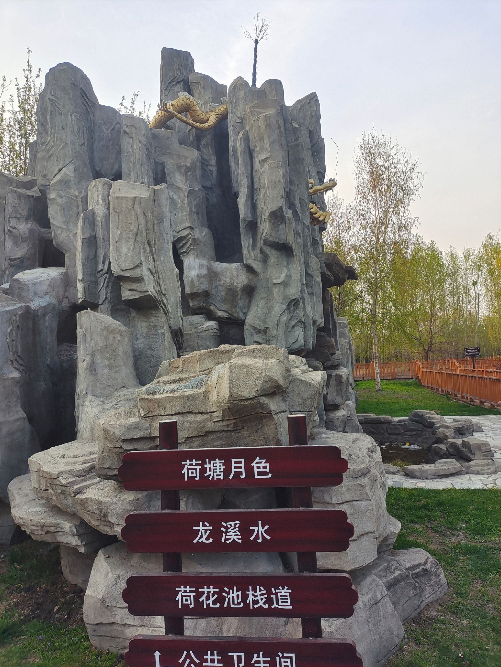 森林植物园旅行图片 1
