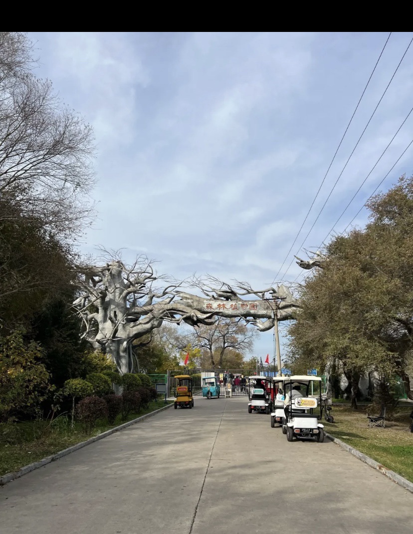 森林植物园旅行图片 2