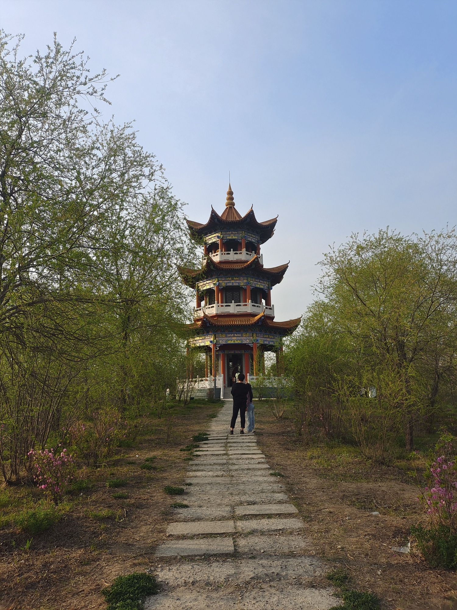 森林植物园旅行图片 2