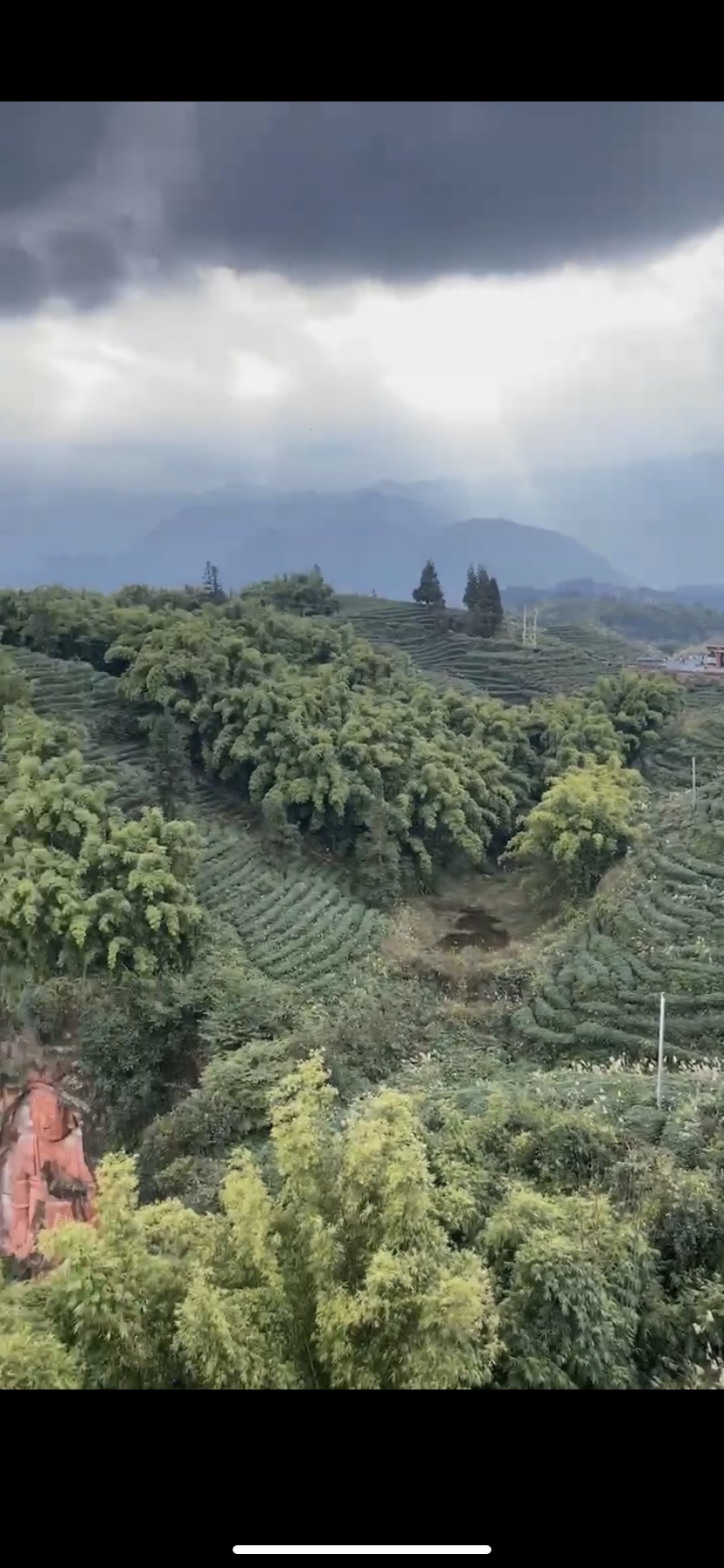 龙华古镇旅行图片 1