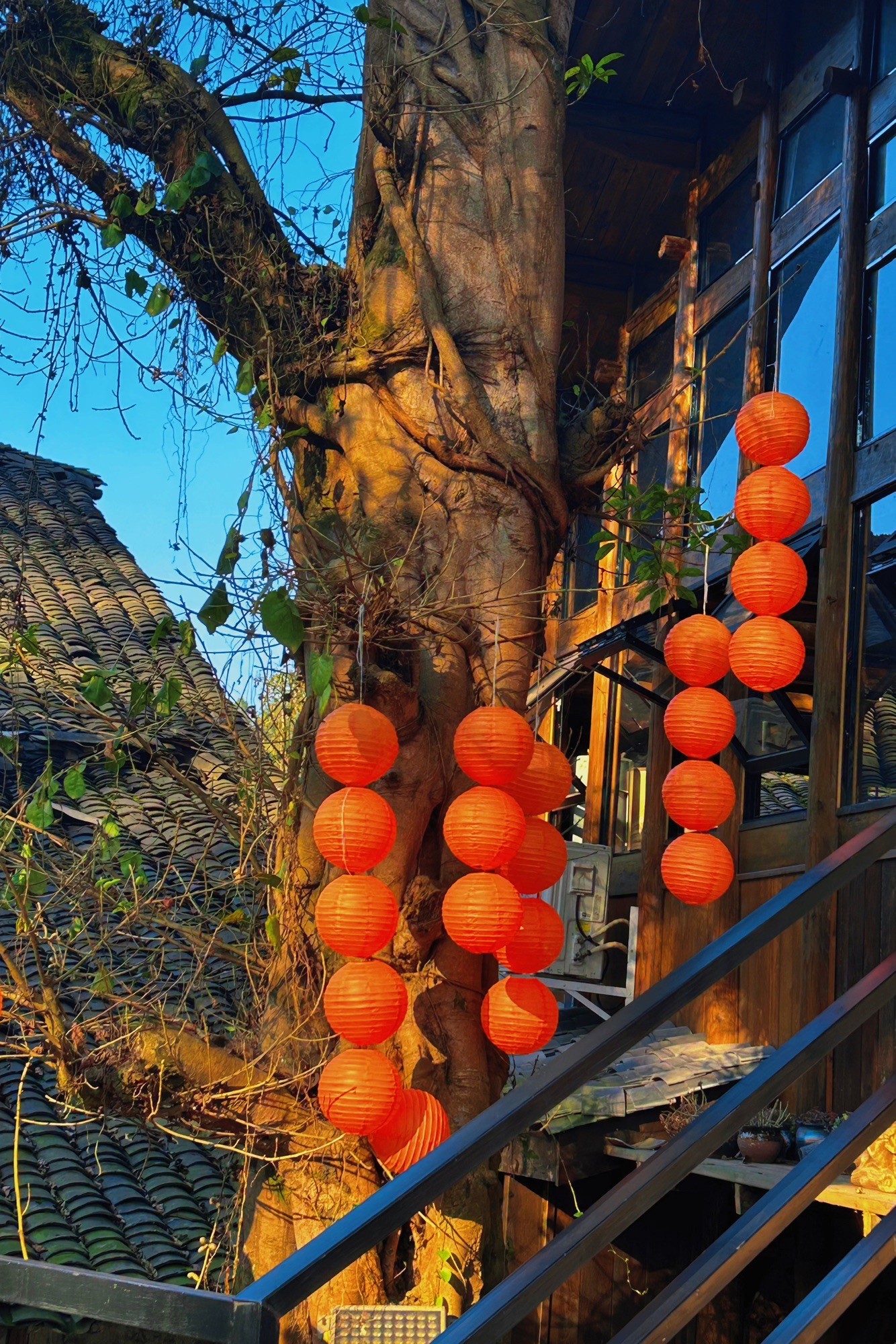 龙华古镇旅行图片 2