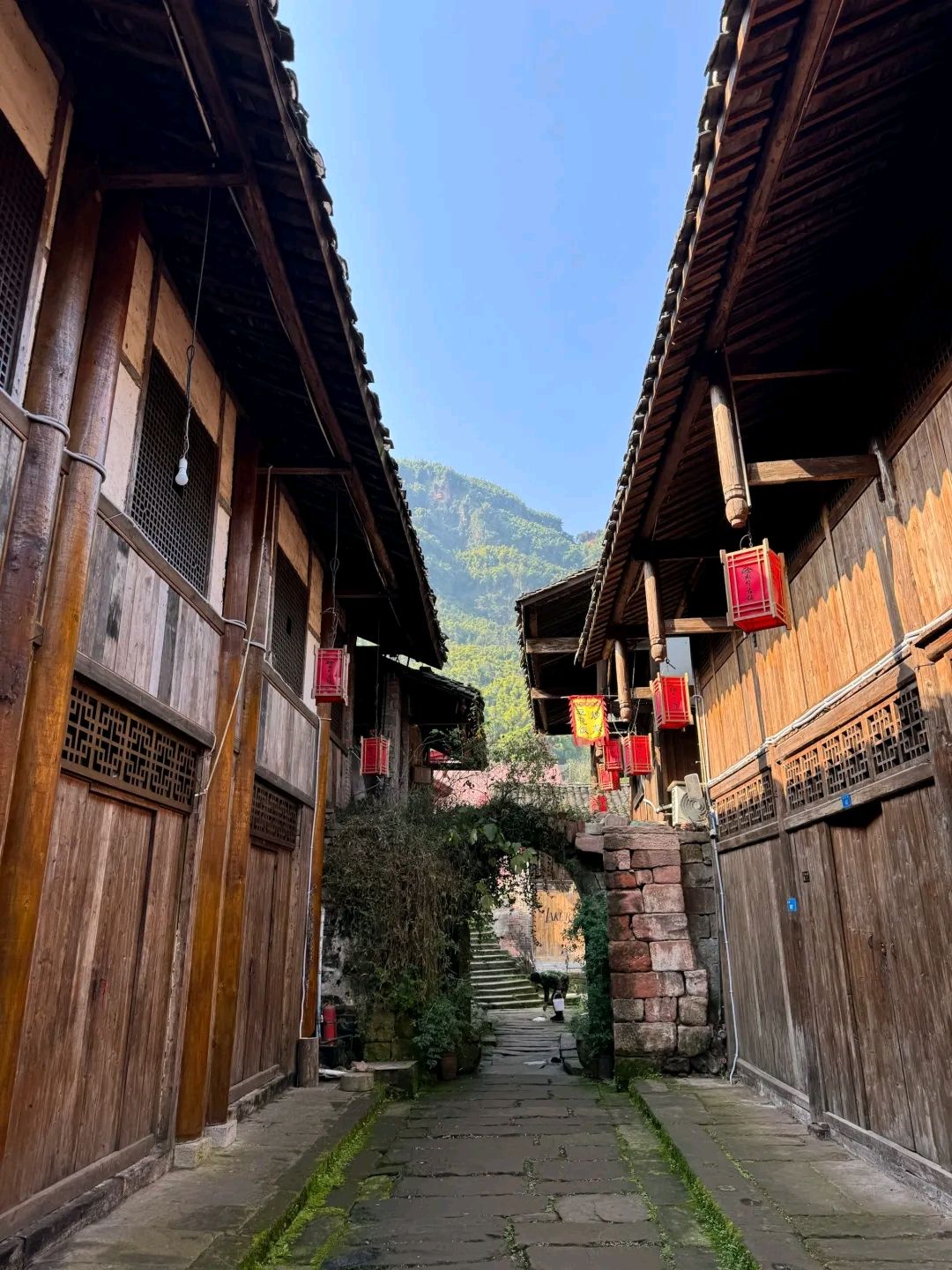 龙华古镇旅行图片 1