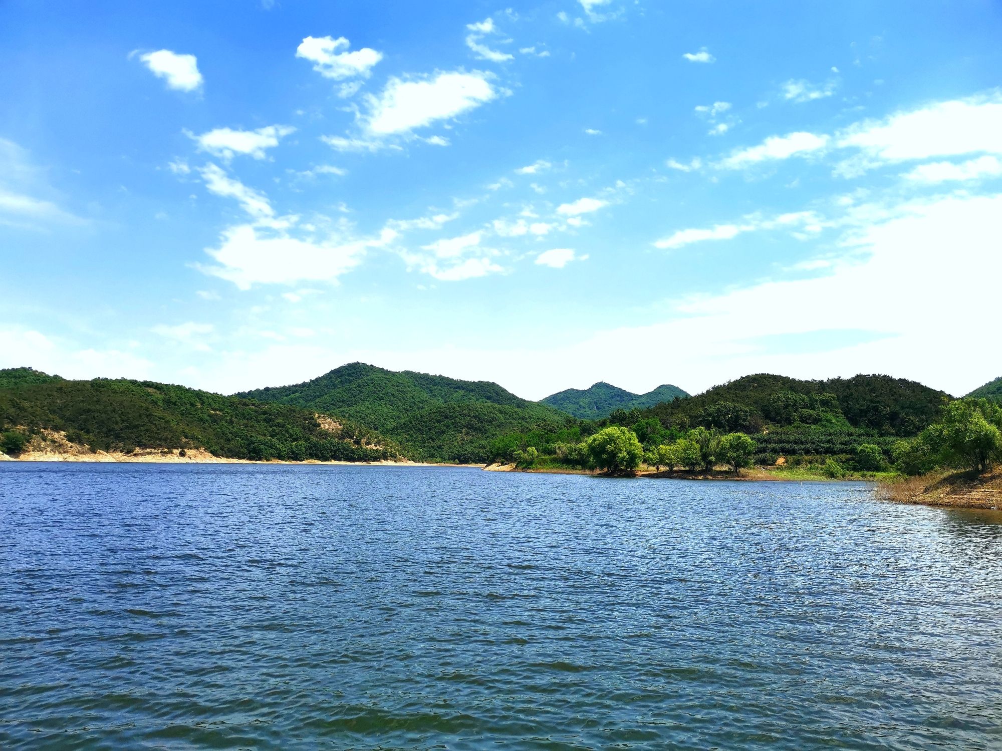 老寨山省级自然保护区旅行图片 2