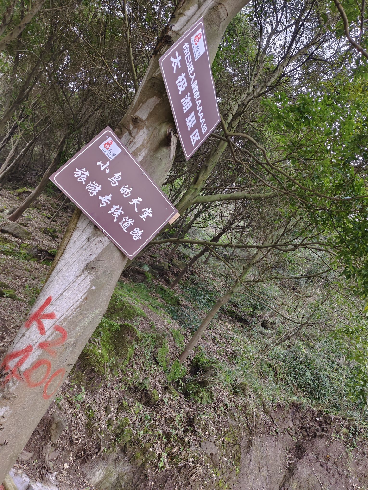 太极湖旅行图片 1