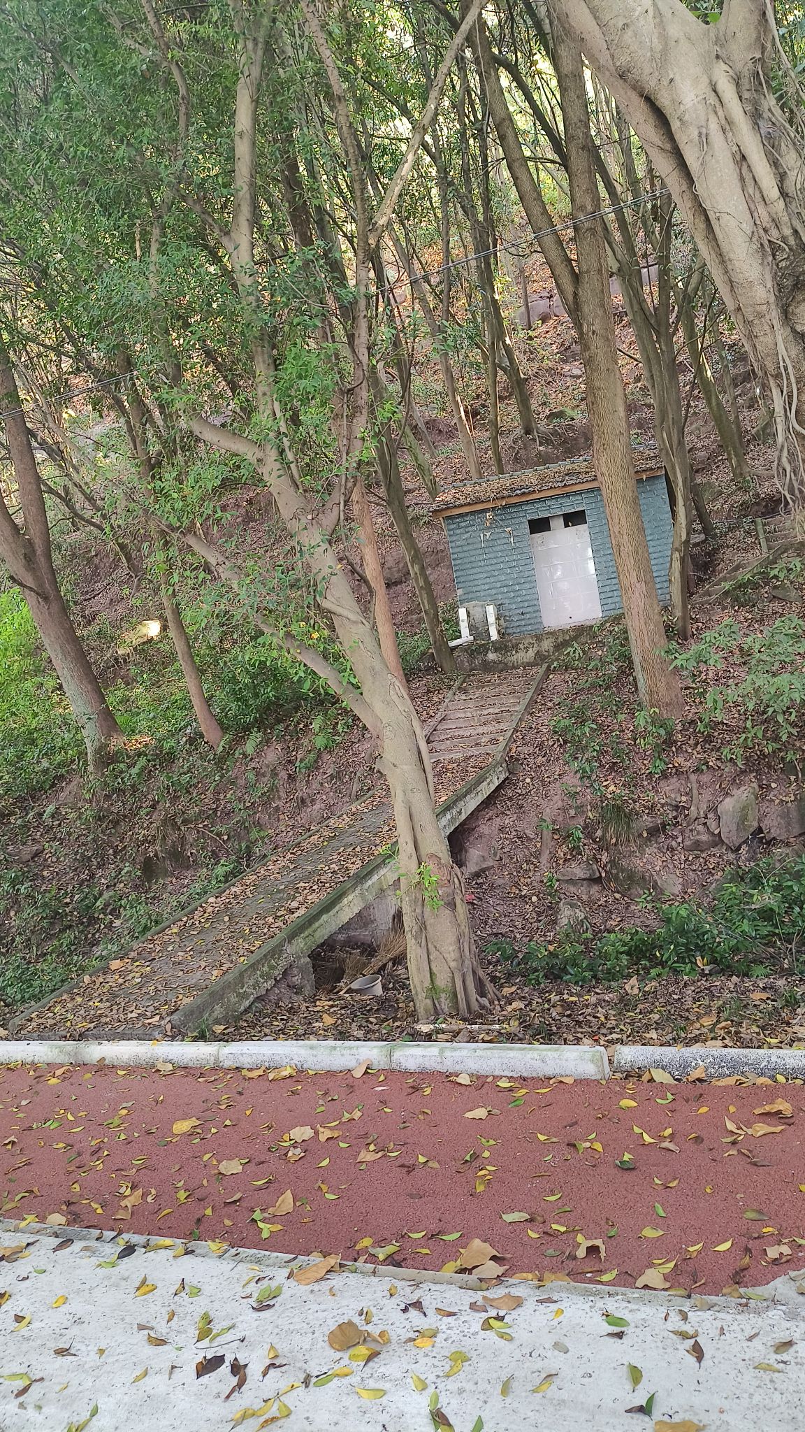 太极湖旅行图片 1