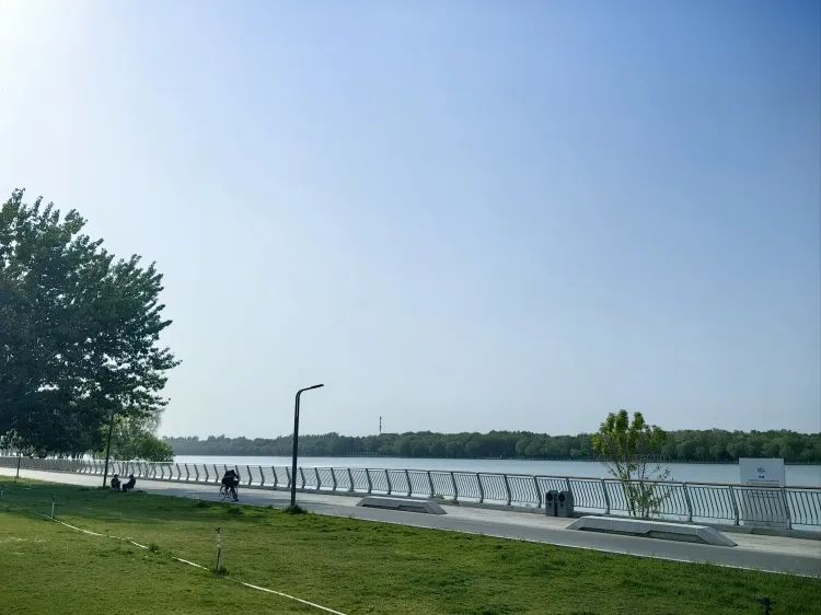 太平河公园旅行图片 3