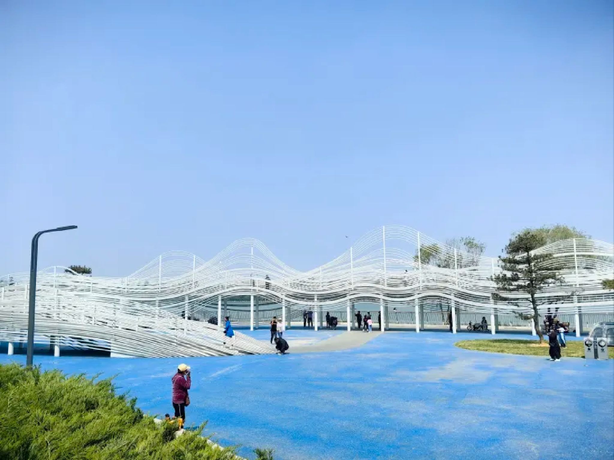 太平河公园旅行图片 1