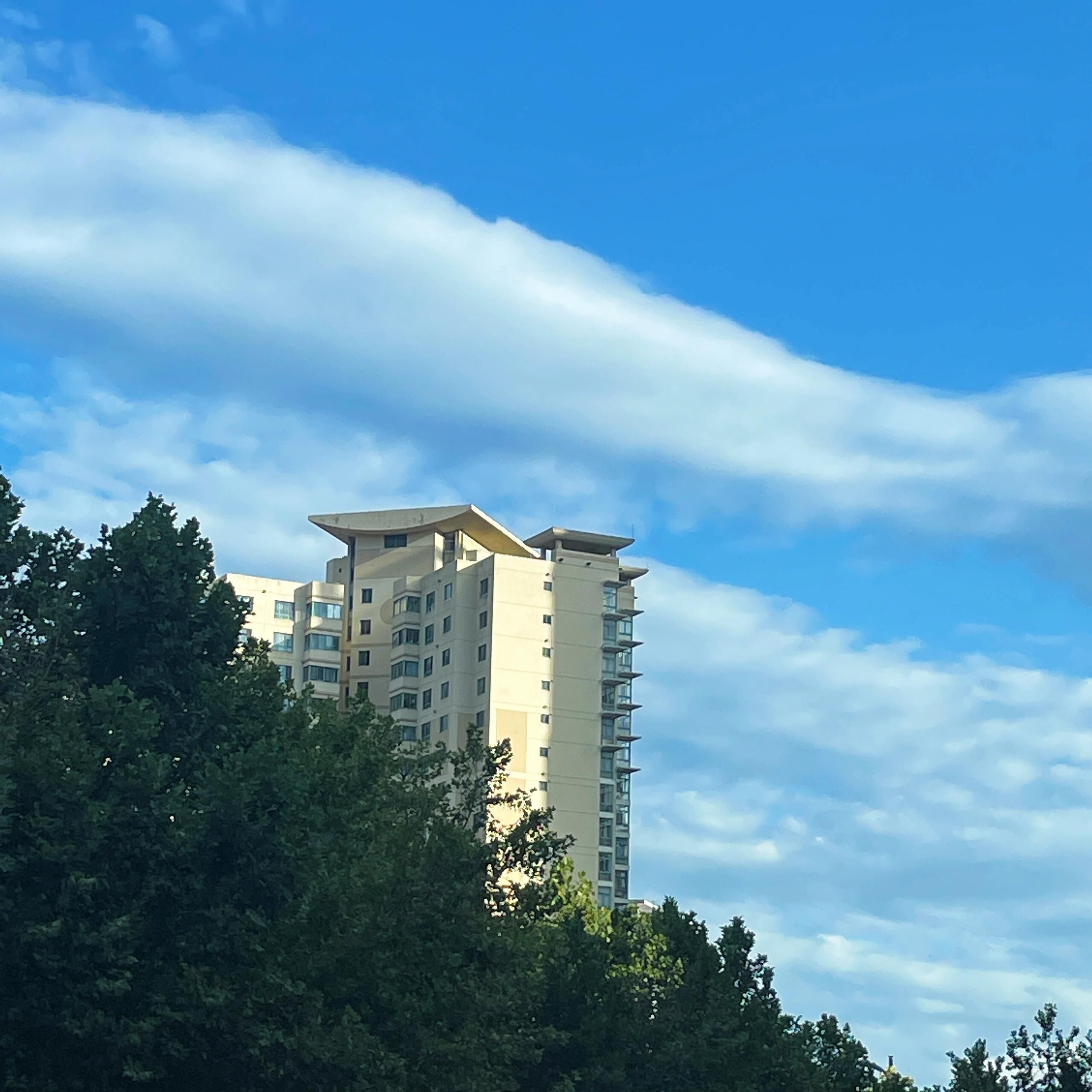 太平河公园旅行图片 3