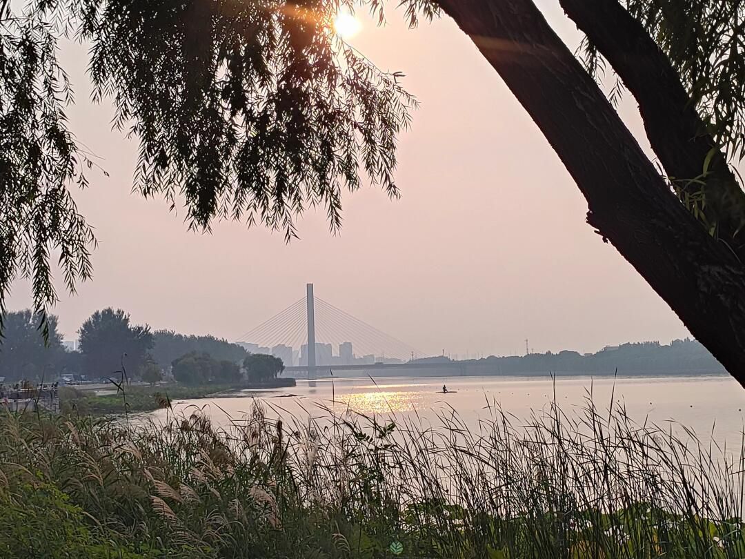 太平河公园旅行图片 2