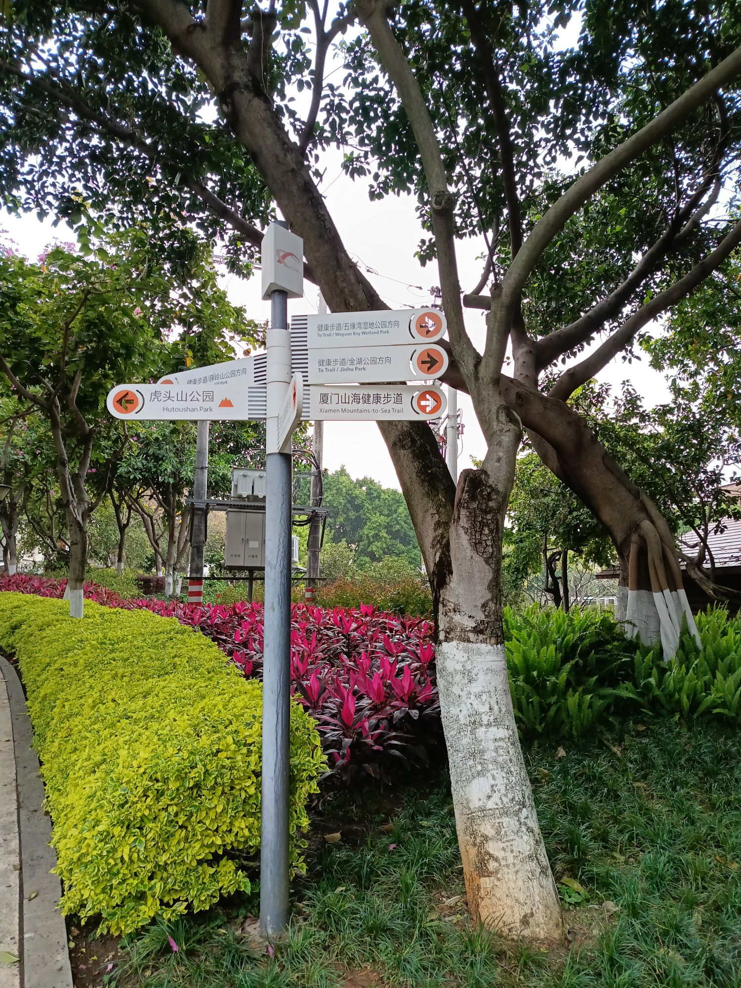 五缘湾旅行图片 1