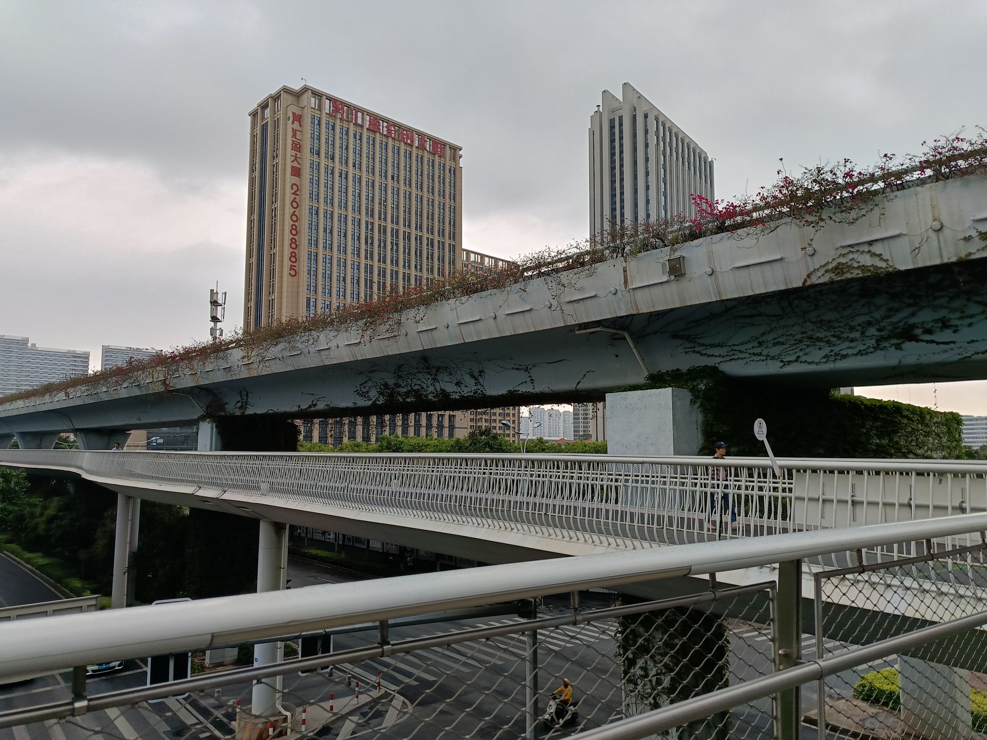 五缘湾旅行图片 3