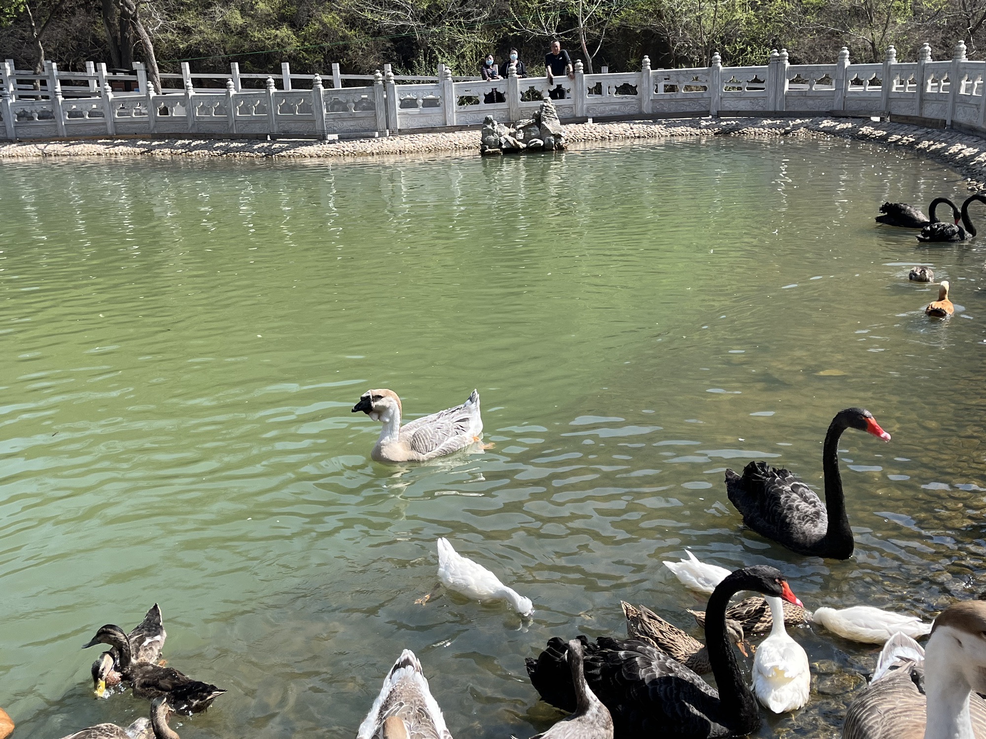 蒙山景区旅行图片 2
