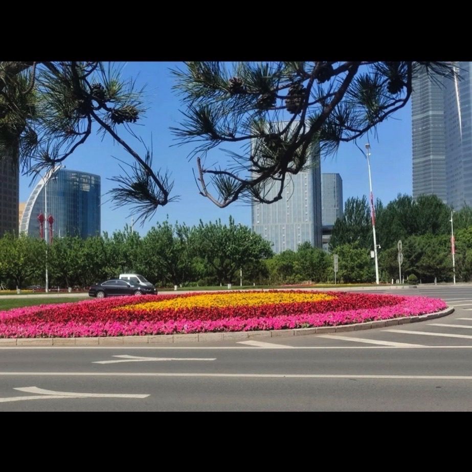 龙翔广场旅行图片 2