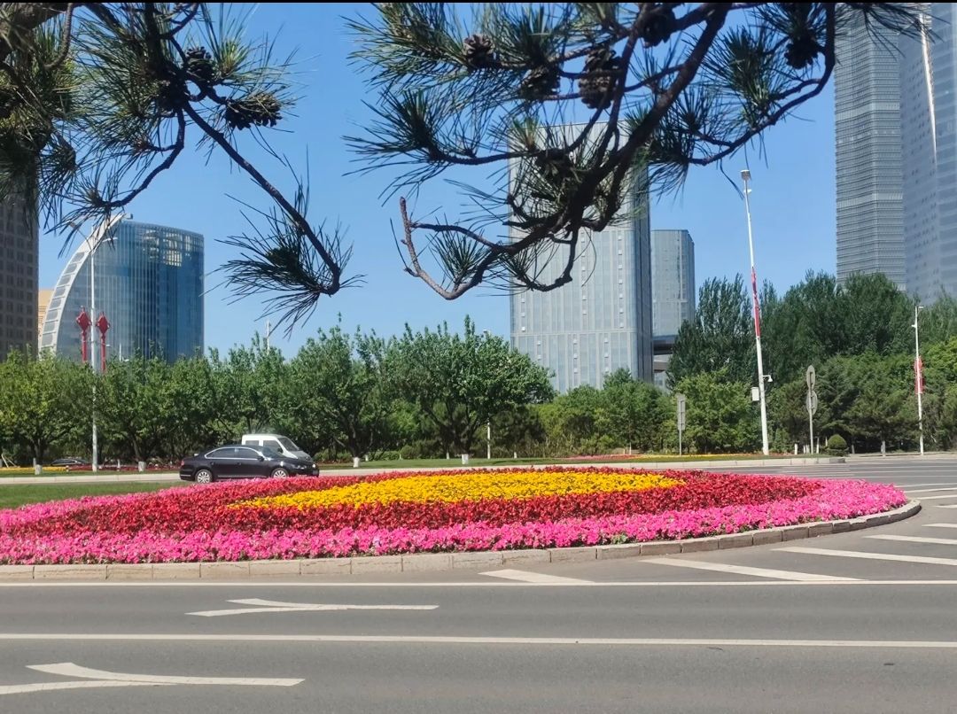 龙翔广场旅行图片 2