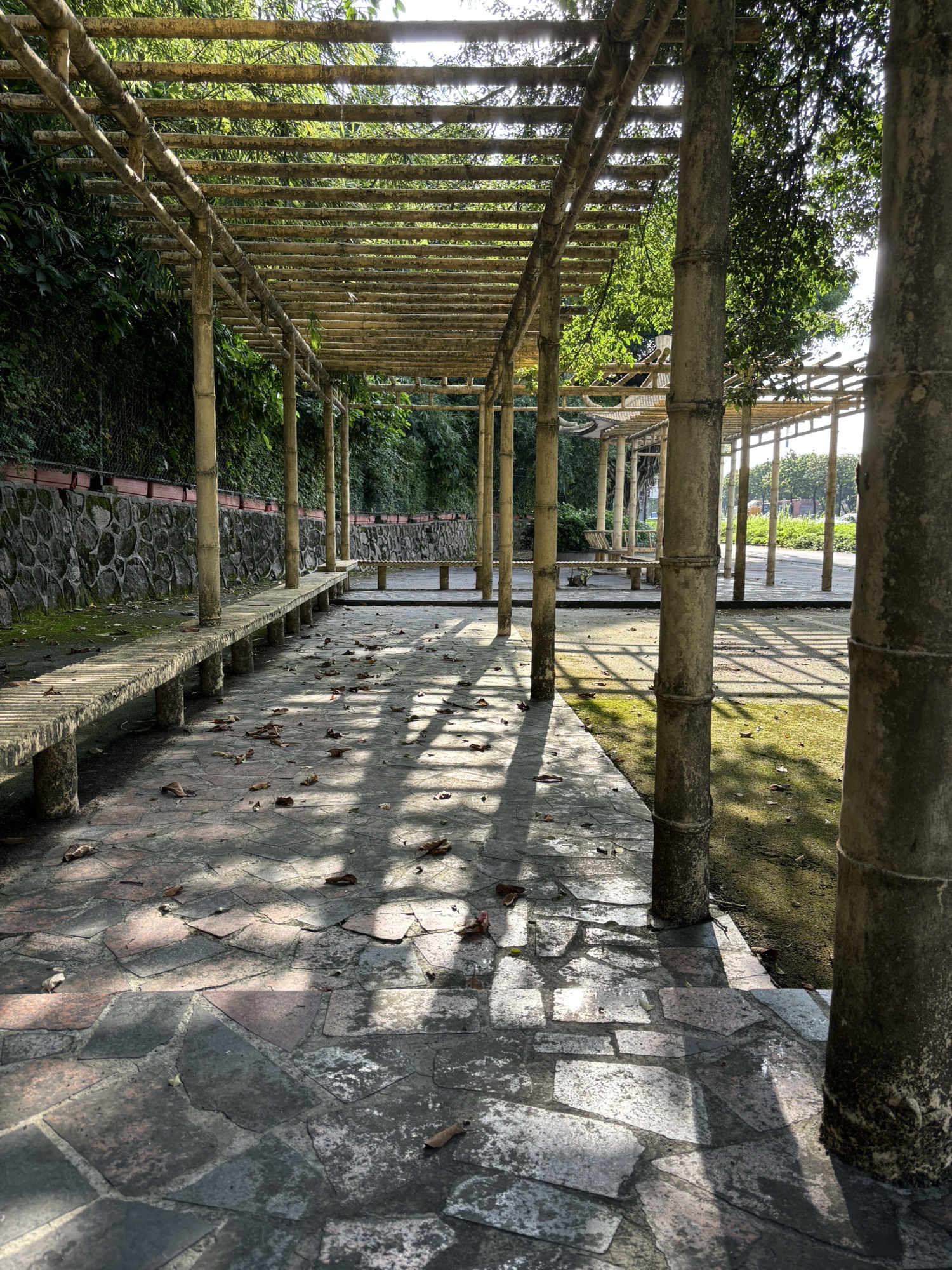 北滘都宁岗森林公园旅行图片 2