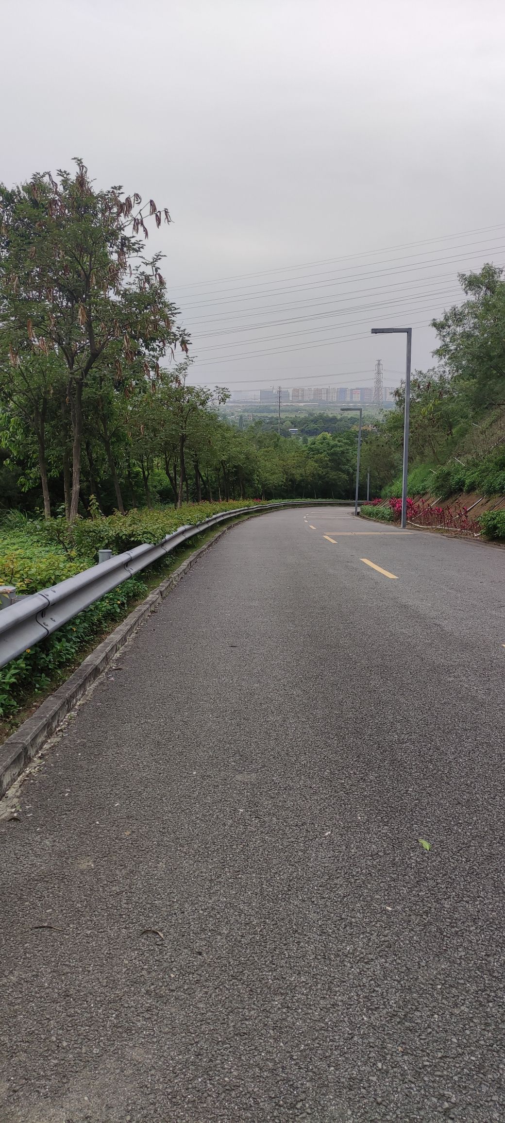 北滘都宁岗森林公园旅行图片 3