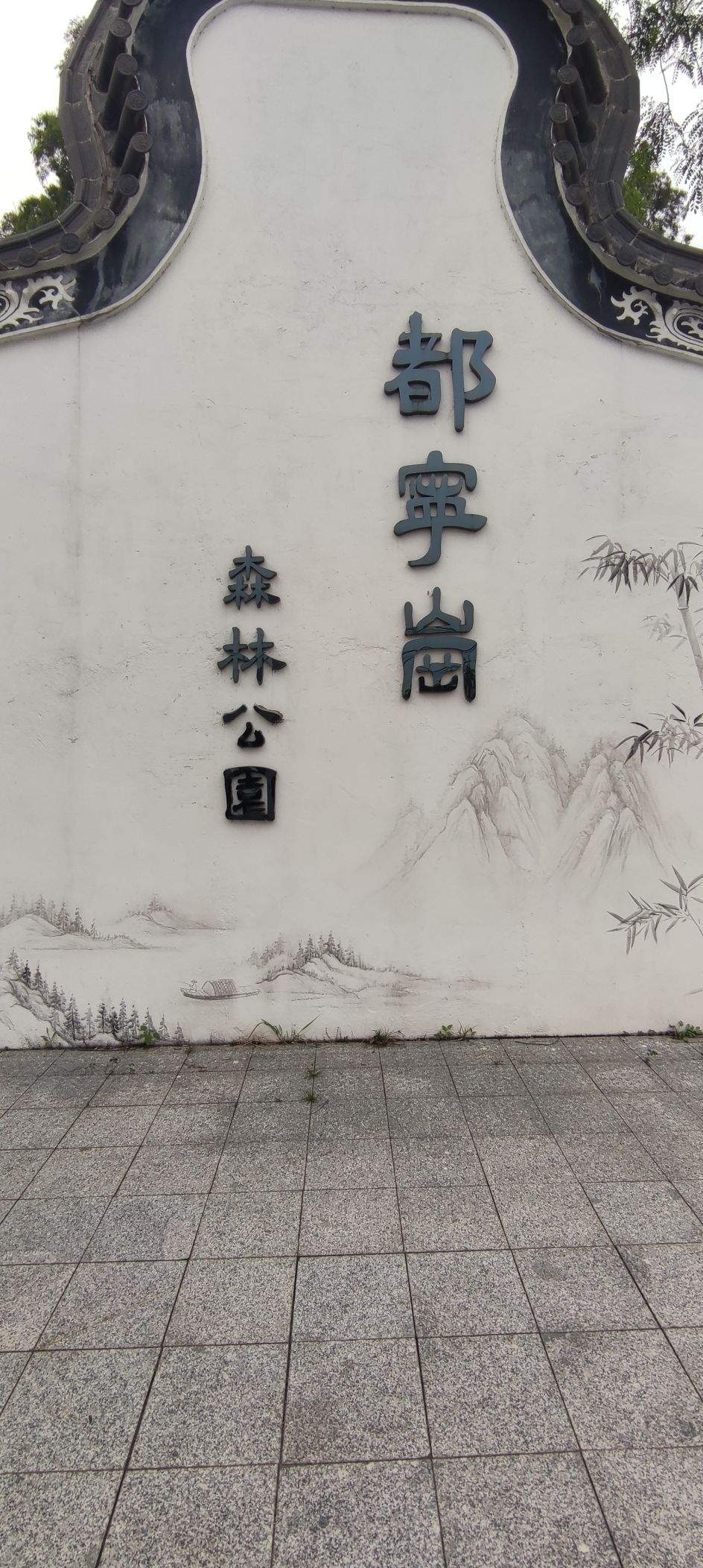 北滘都宁岗森林公园旅行图片 1