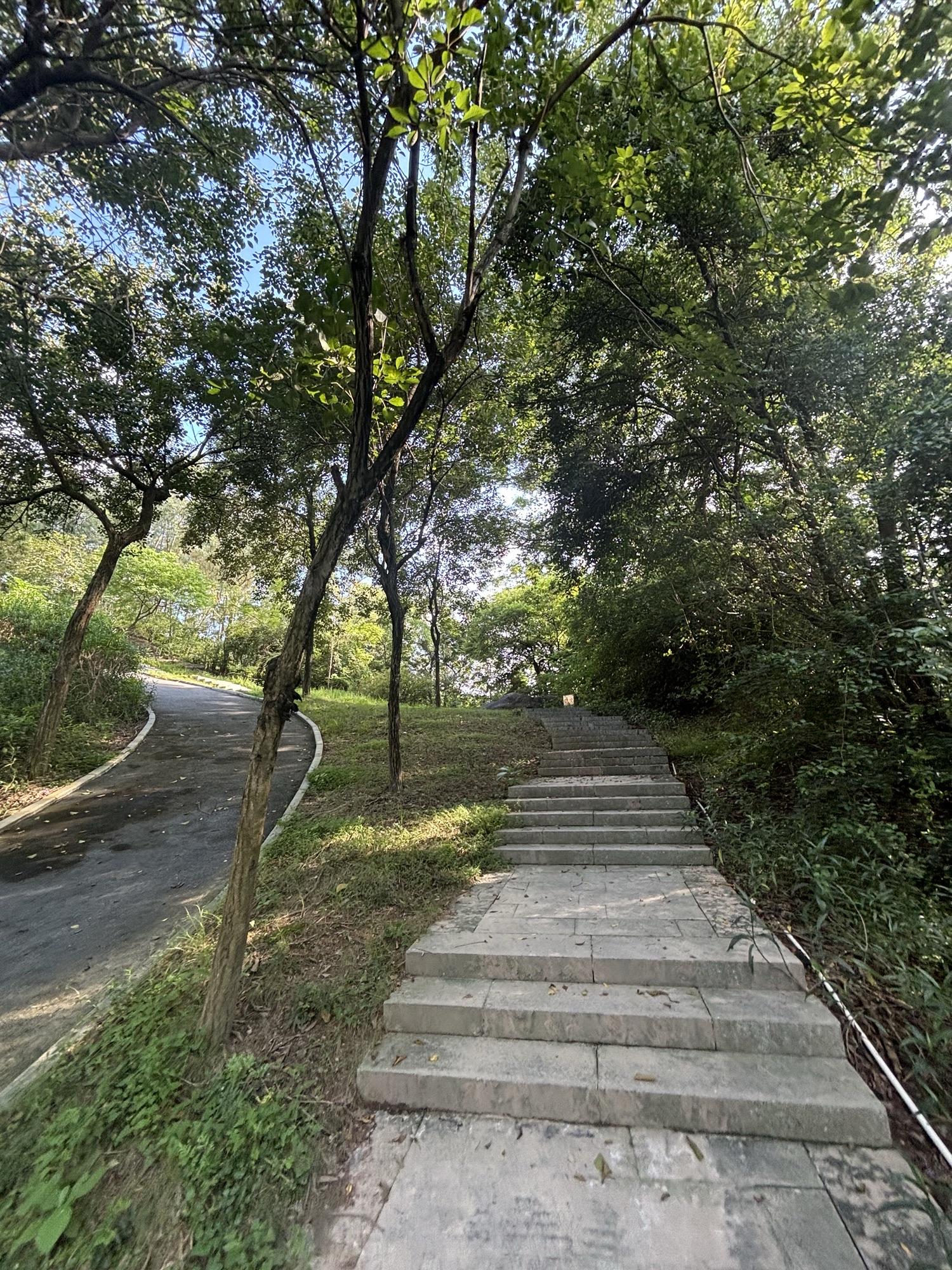 北滘都宁岗森林公园旅行图片 3