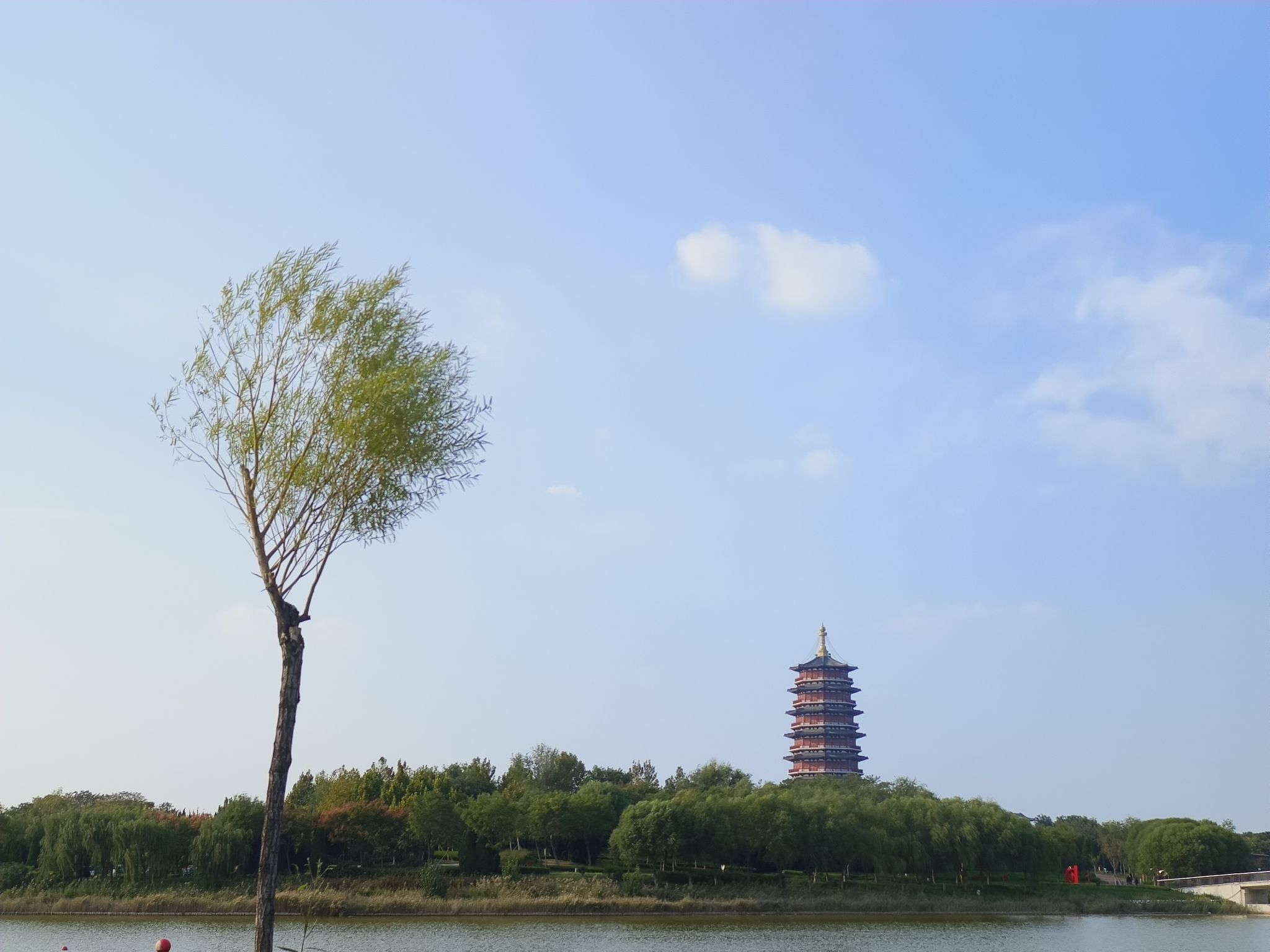 河口鸣翠湖湿地风景区旅行图片 3