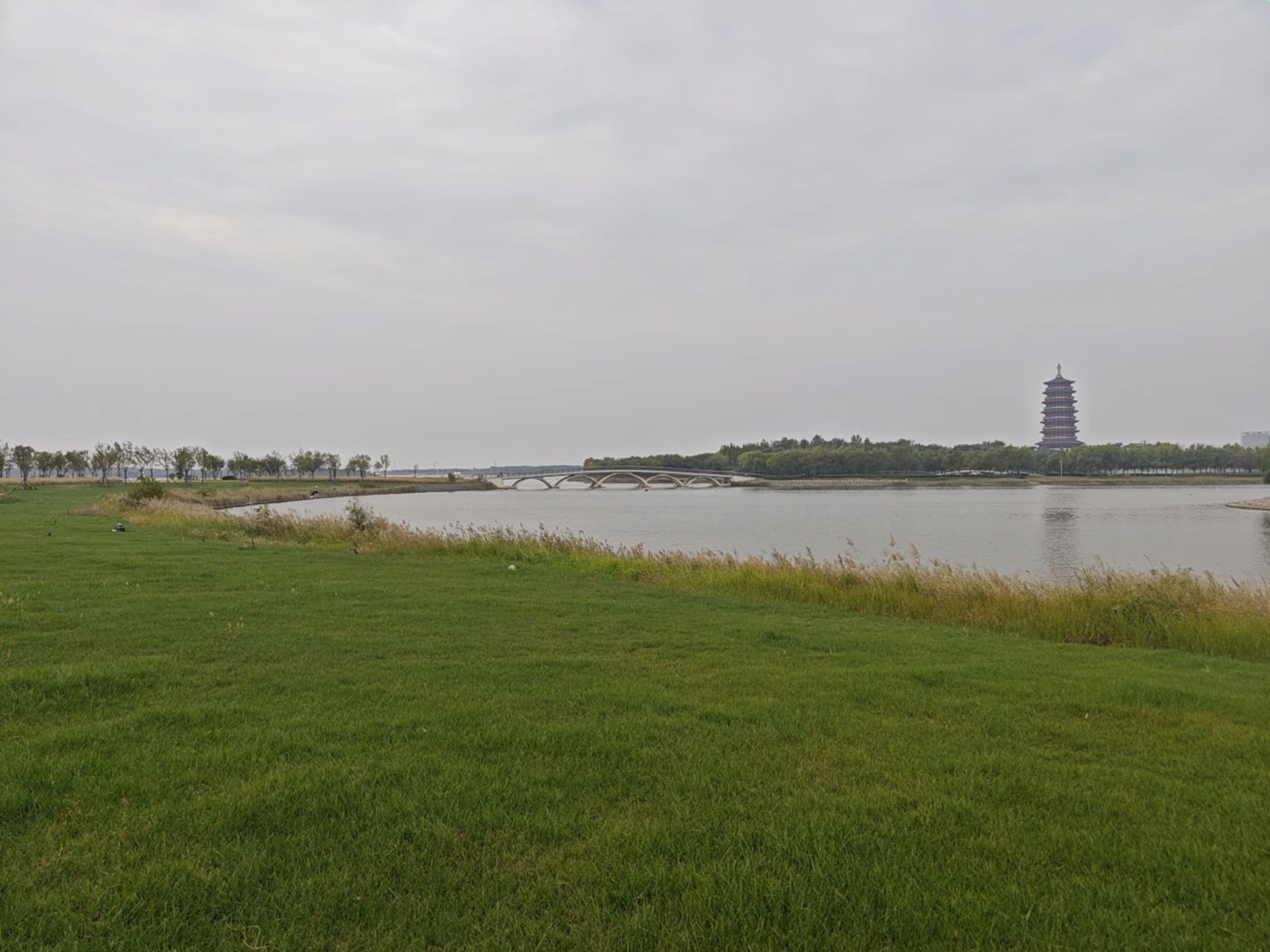 河口鸣翠湖湿地风景区旅行图片 1