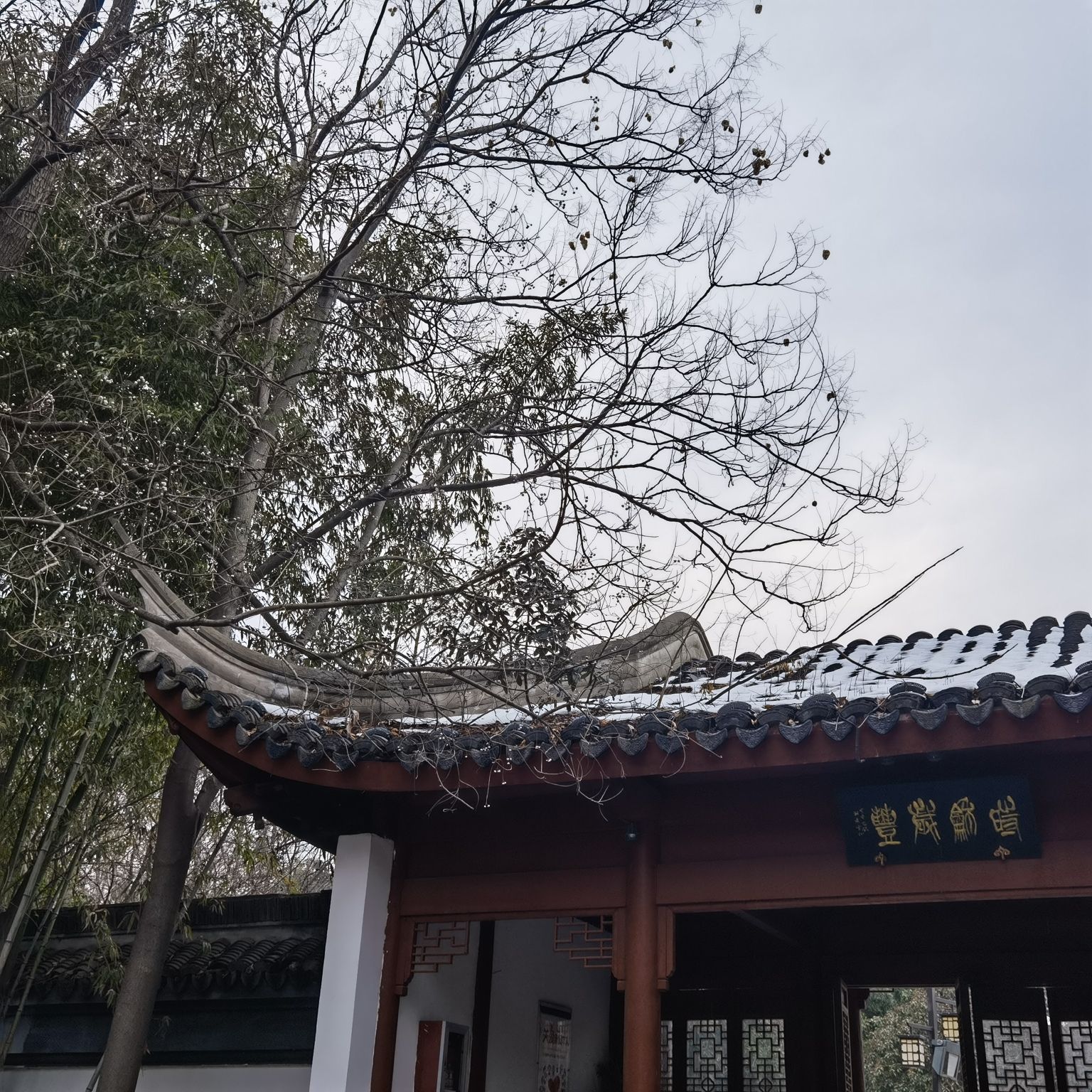 文峰公园旅行图片 1