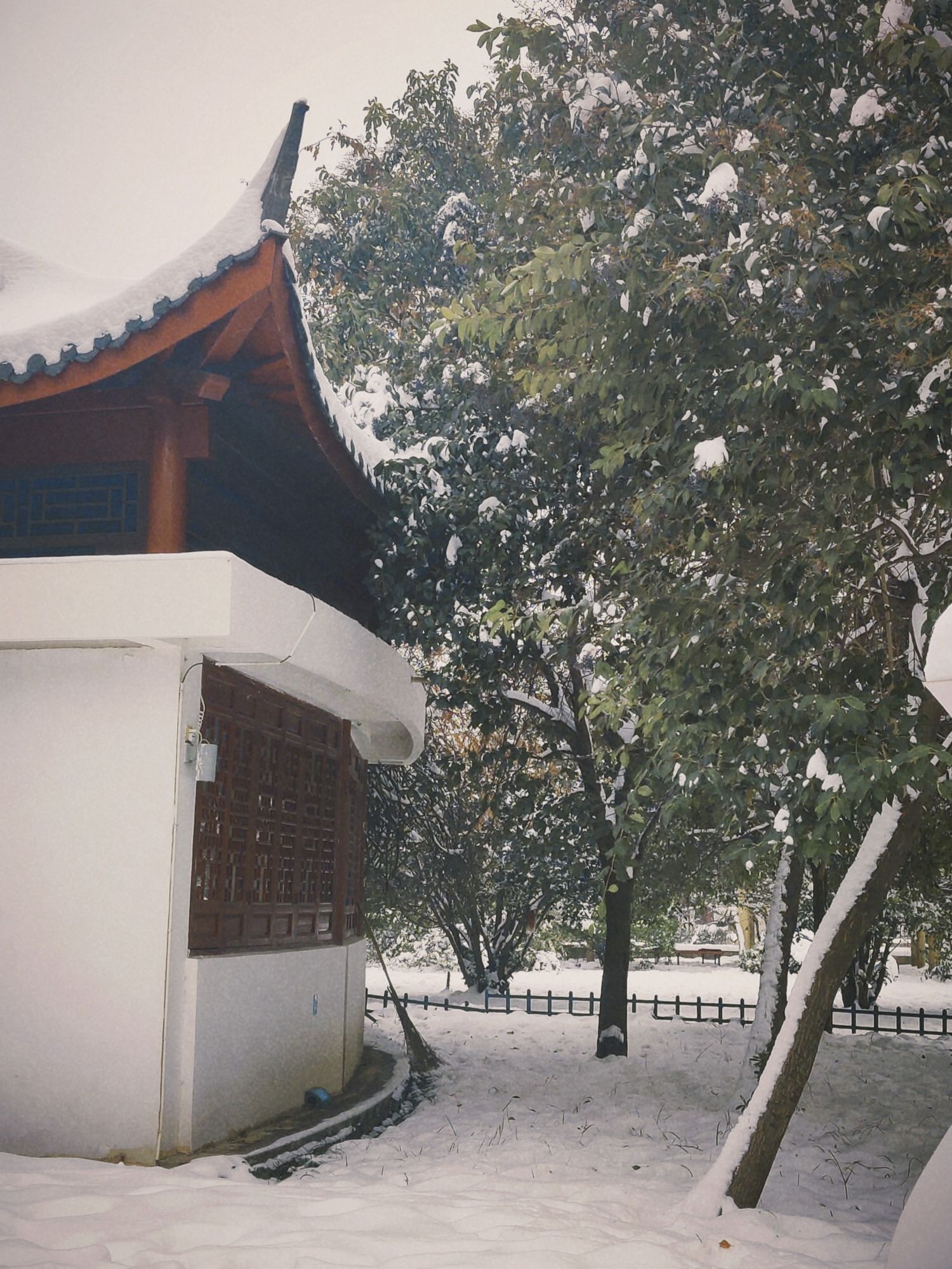 文峰公园旅行图片 3