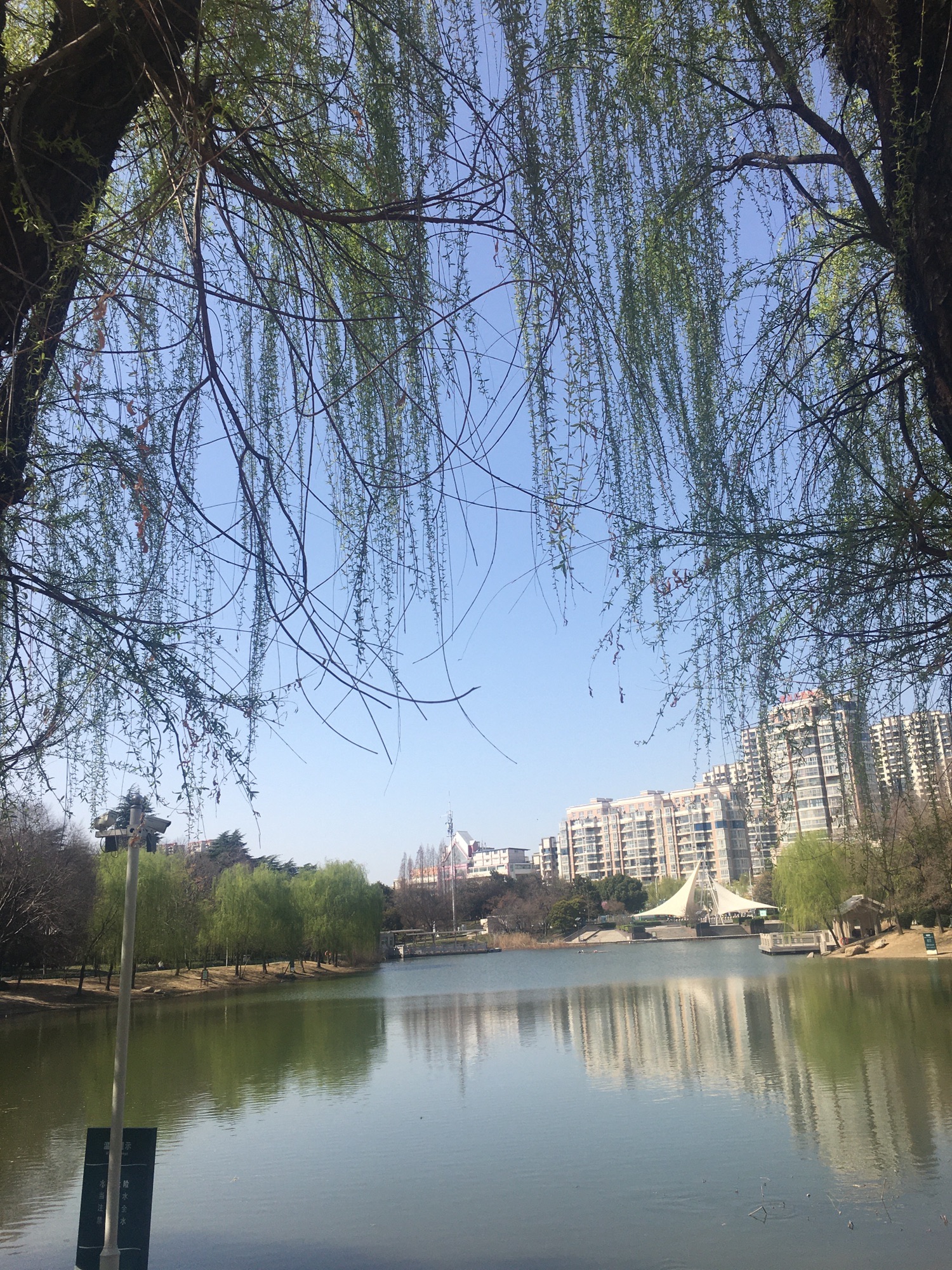文峰公园旅行图片 1