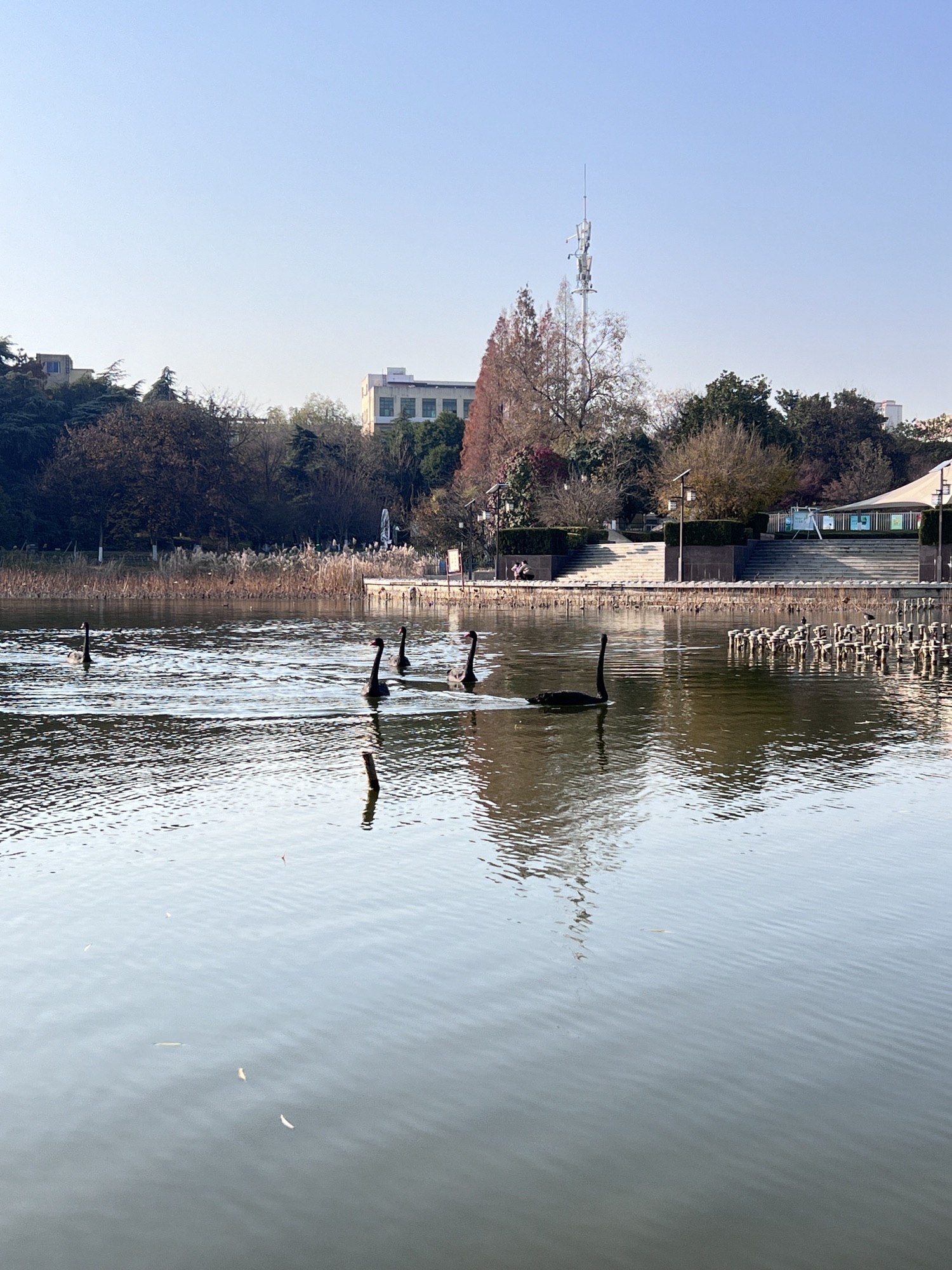文峰公园旅行图片 2