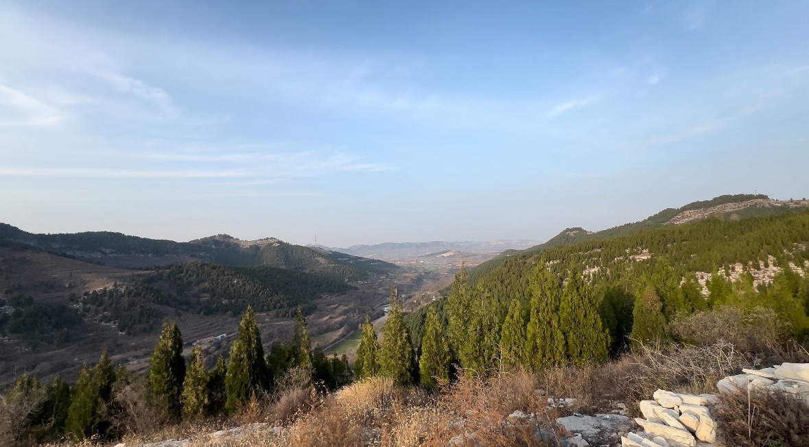 金茶壶景点旅行图片 3