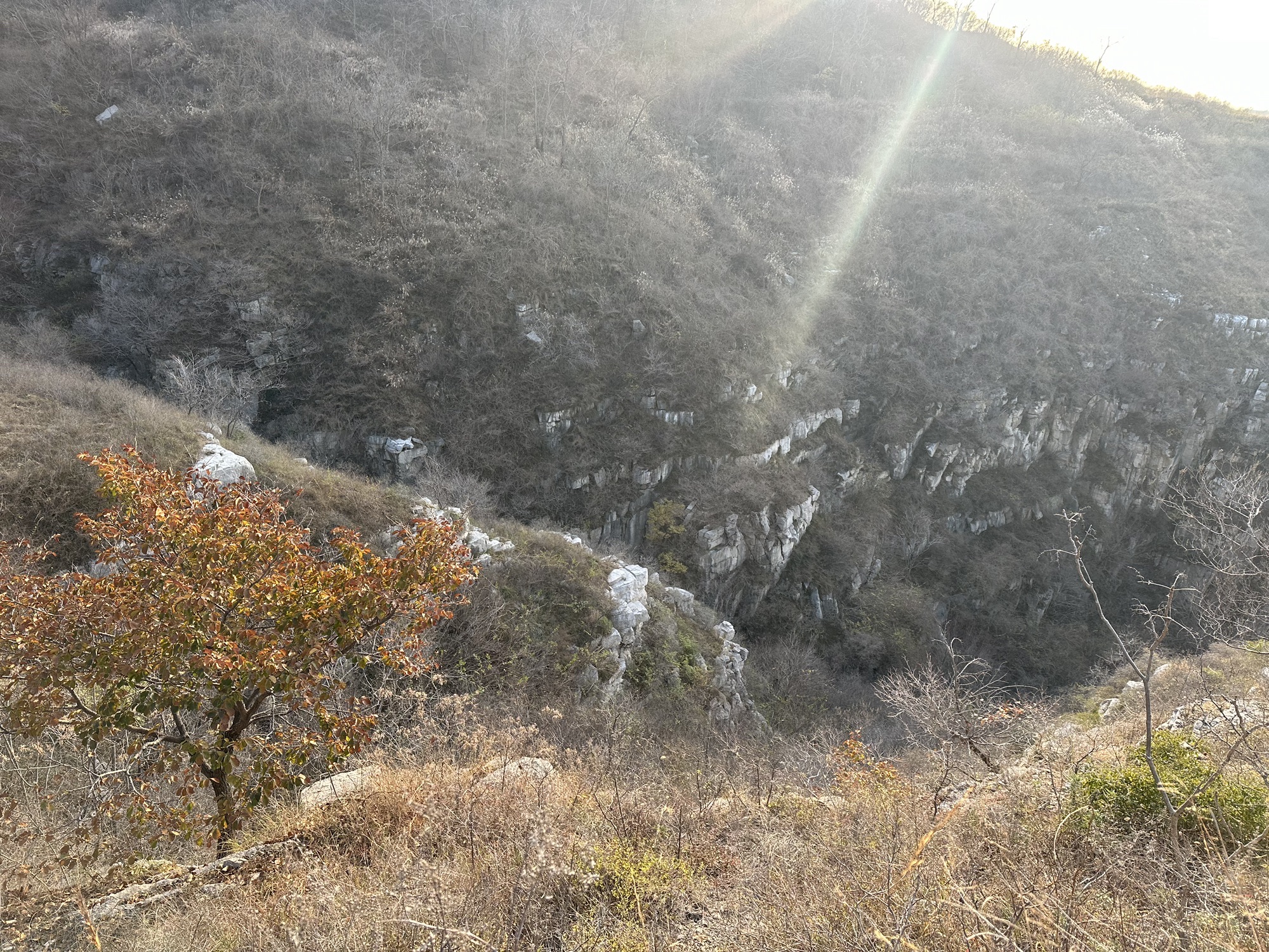 金茶壶景点旅行图片 2