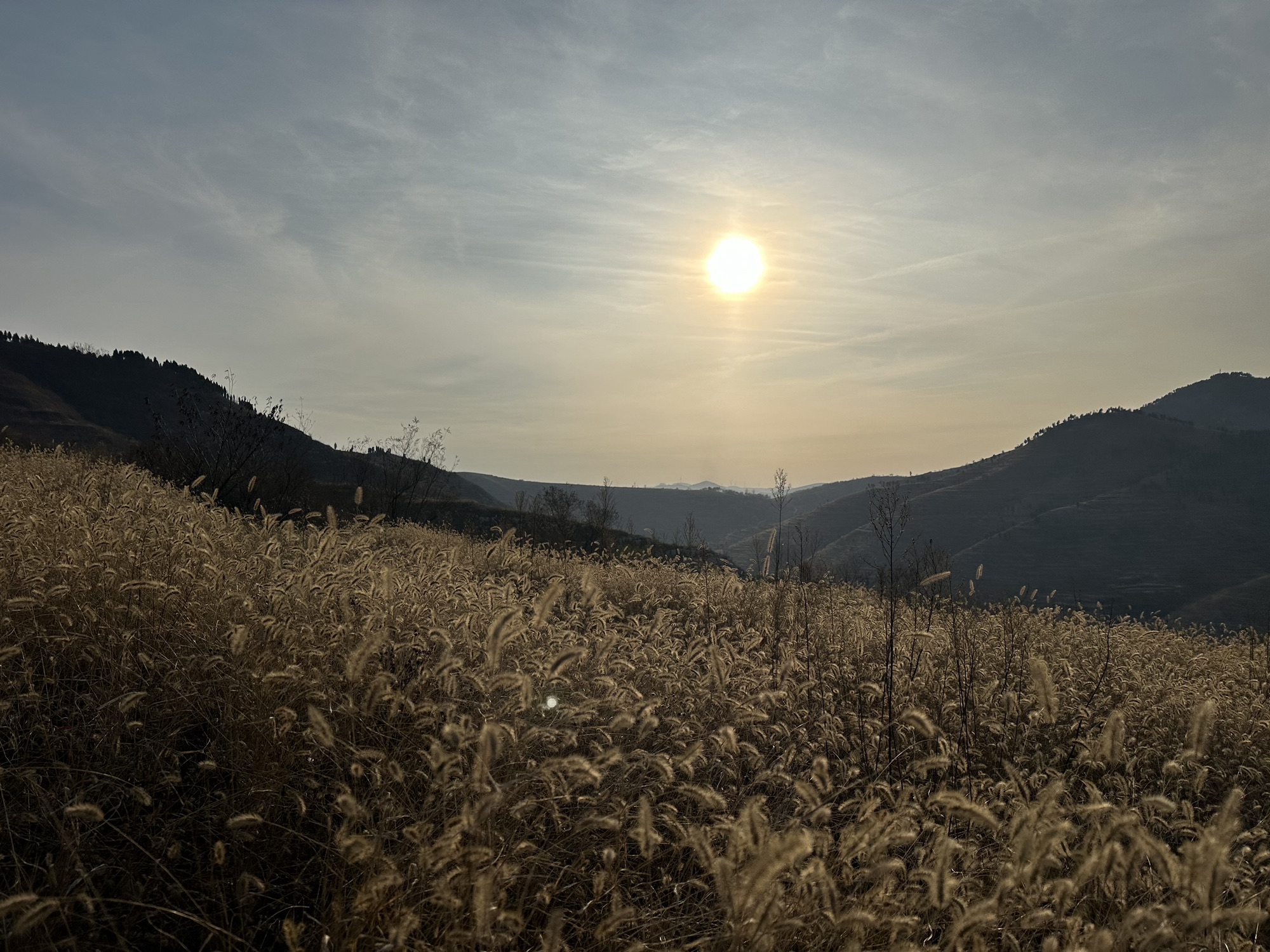 金茶壶景点旅行图片 1