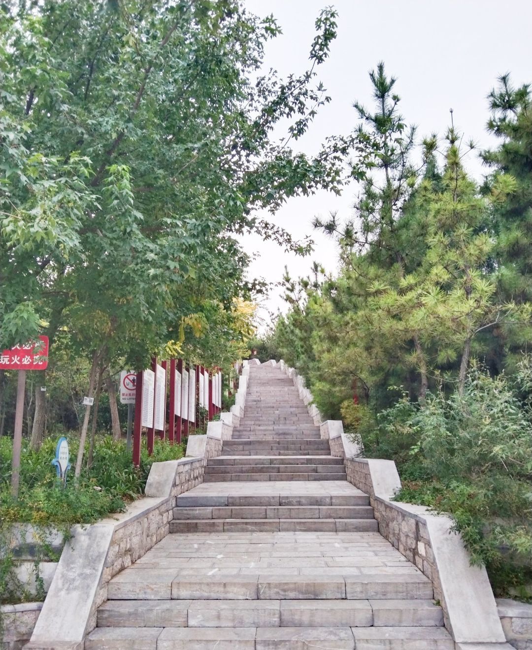 洪山公园旅行图片 1