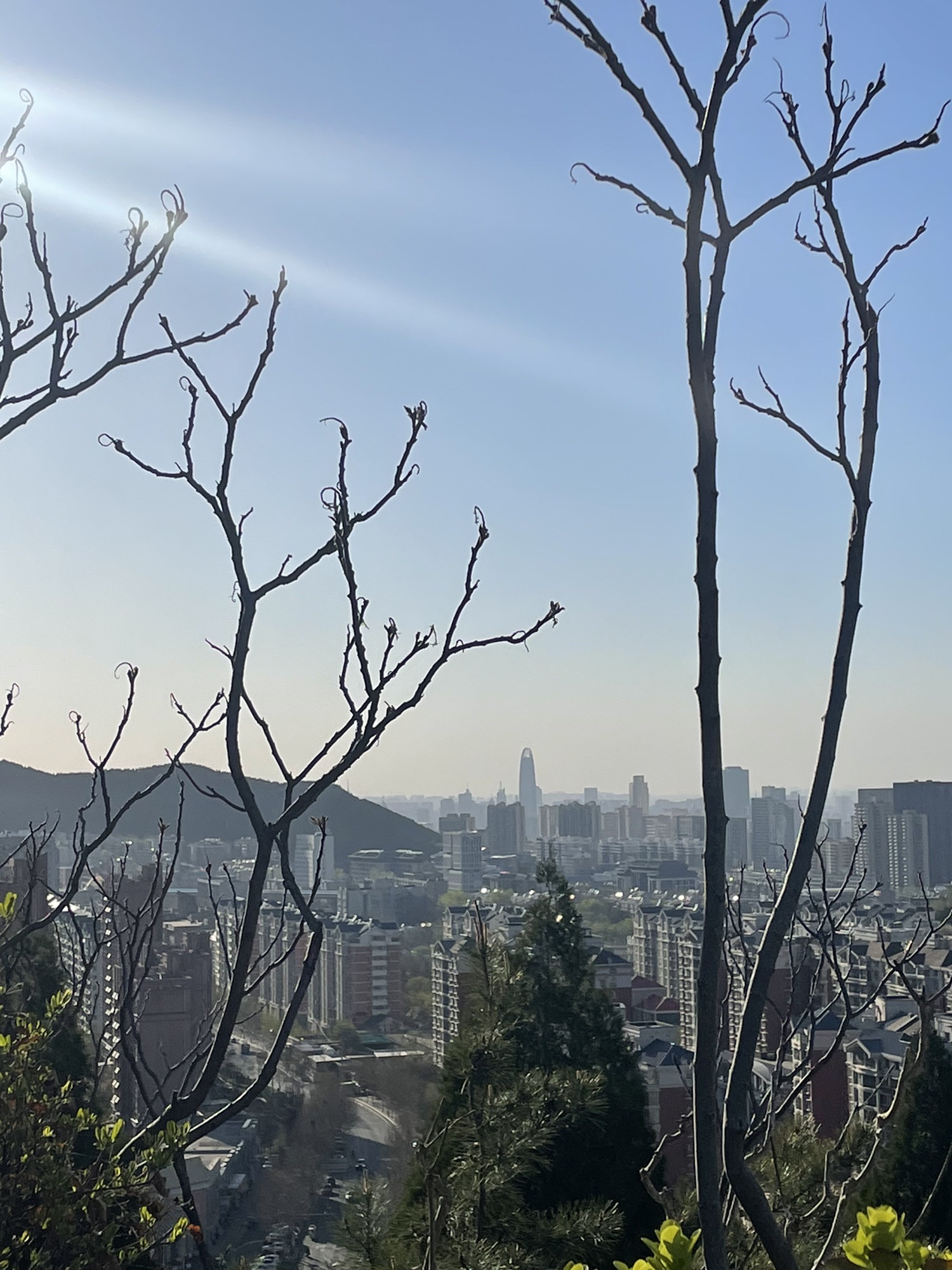 洪山公园旅行图片 1