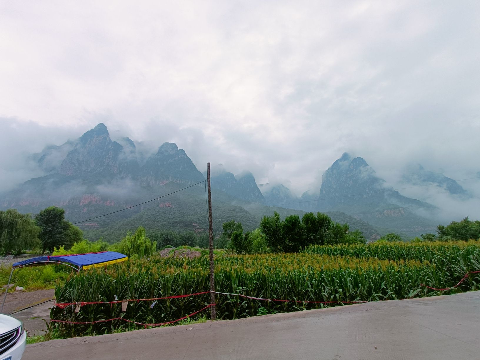 武家湾景区旅行图片 3