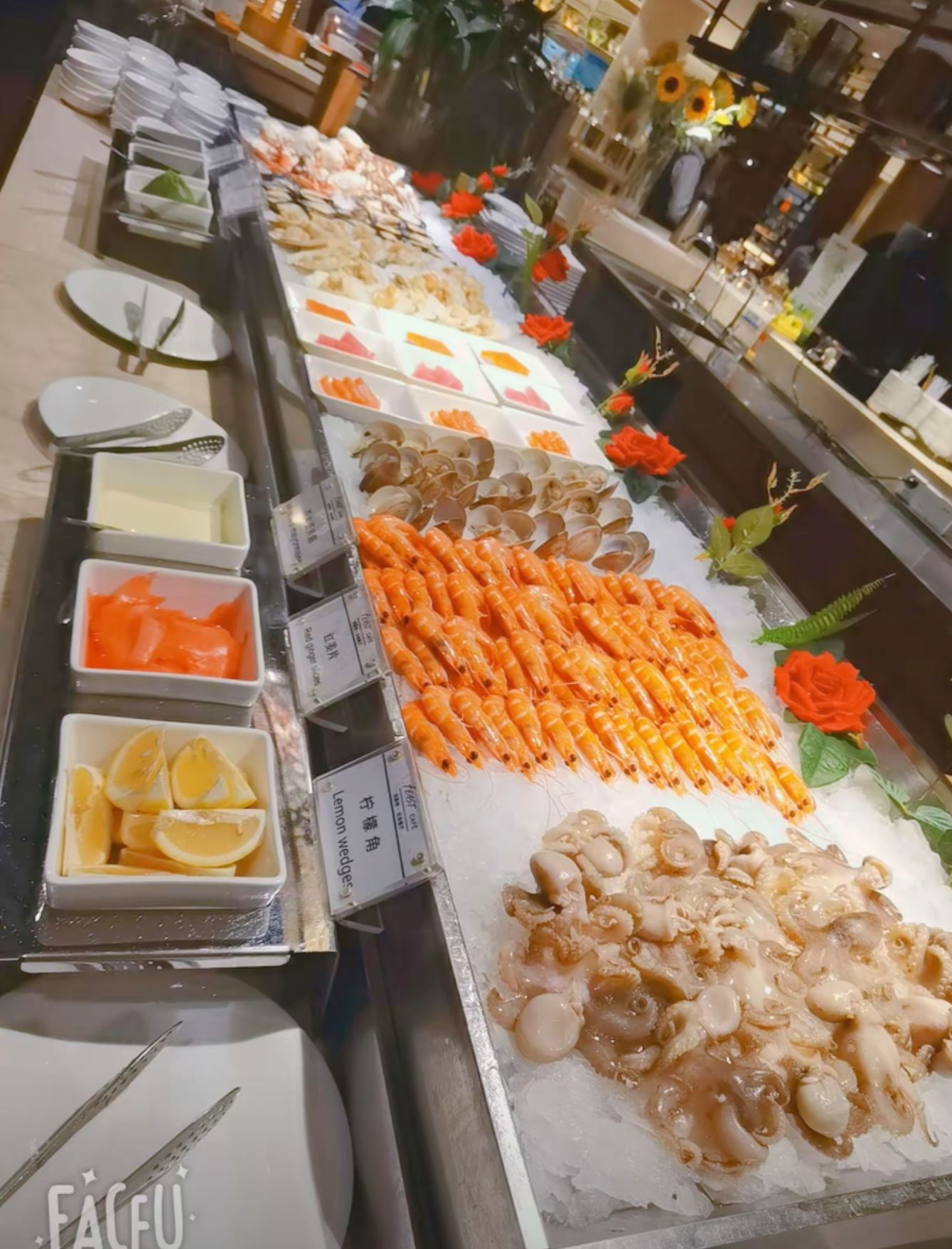 明月东一菲斯特自助餐厅