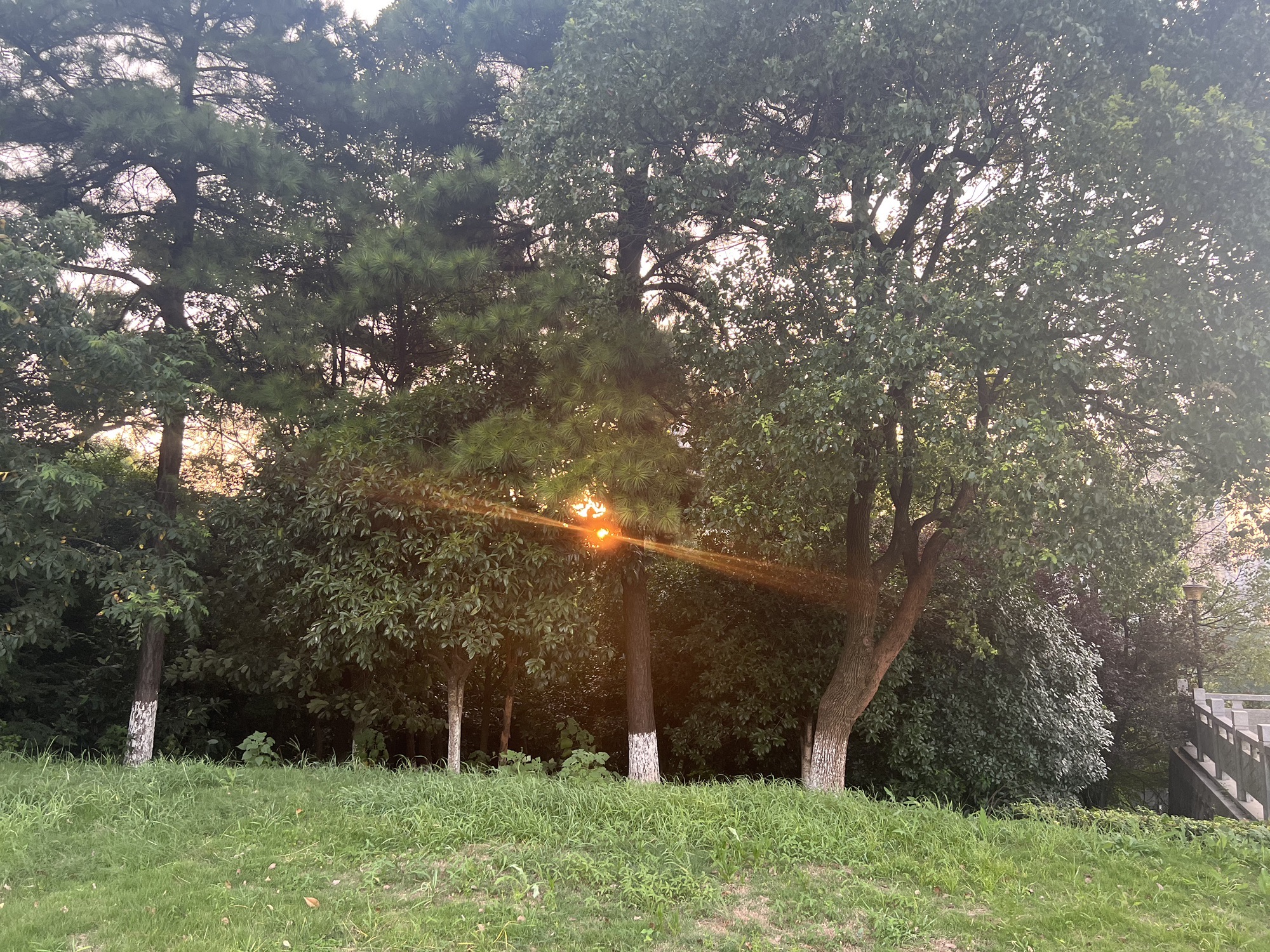 星沙生态公园旅行图片 3