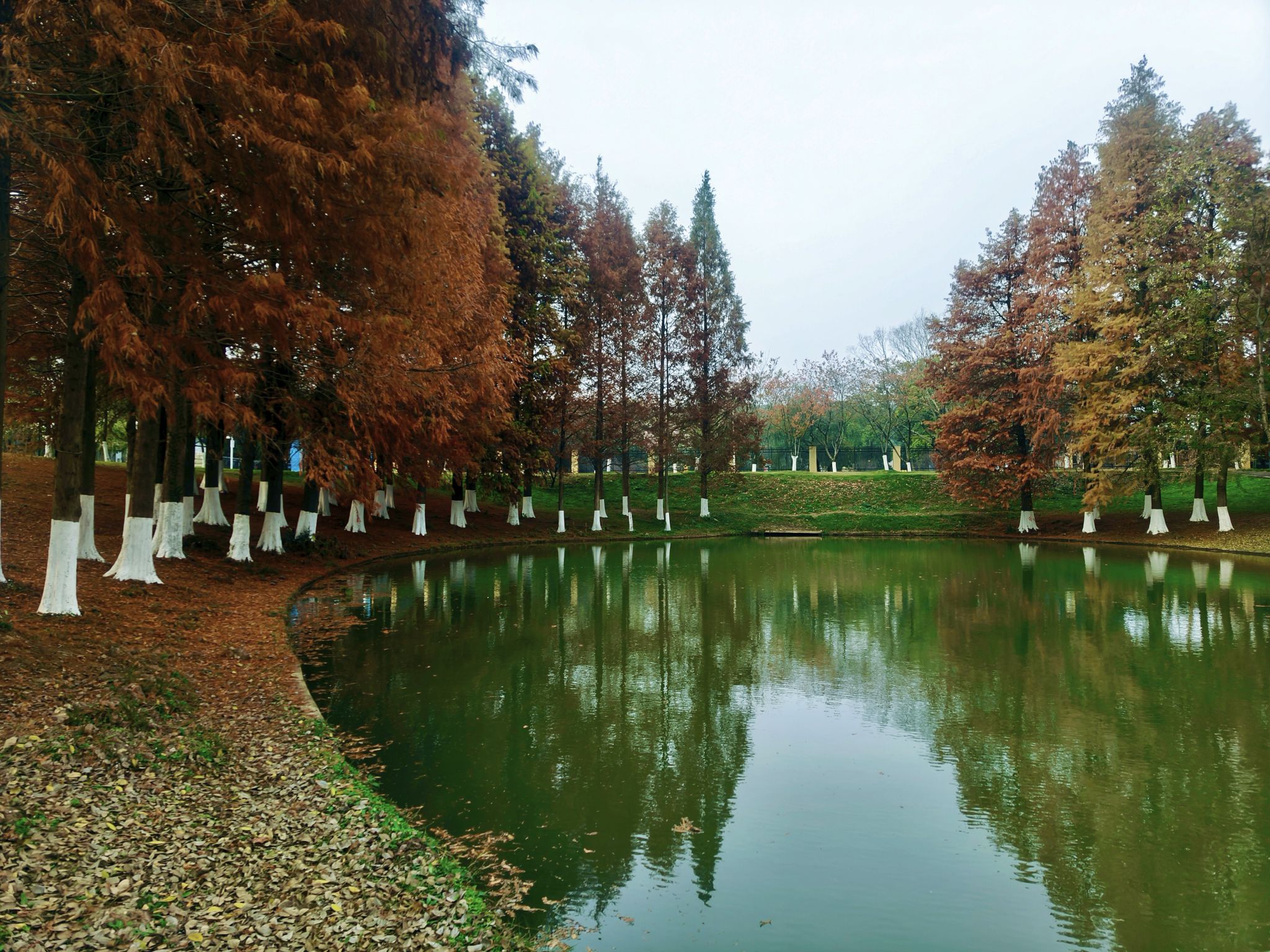 星沙生态公园旅行图片 2