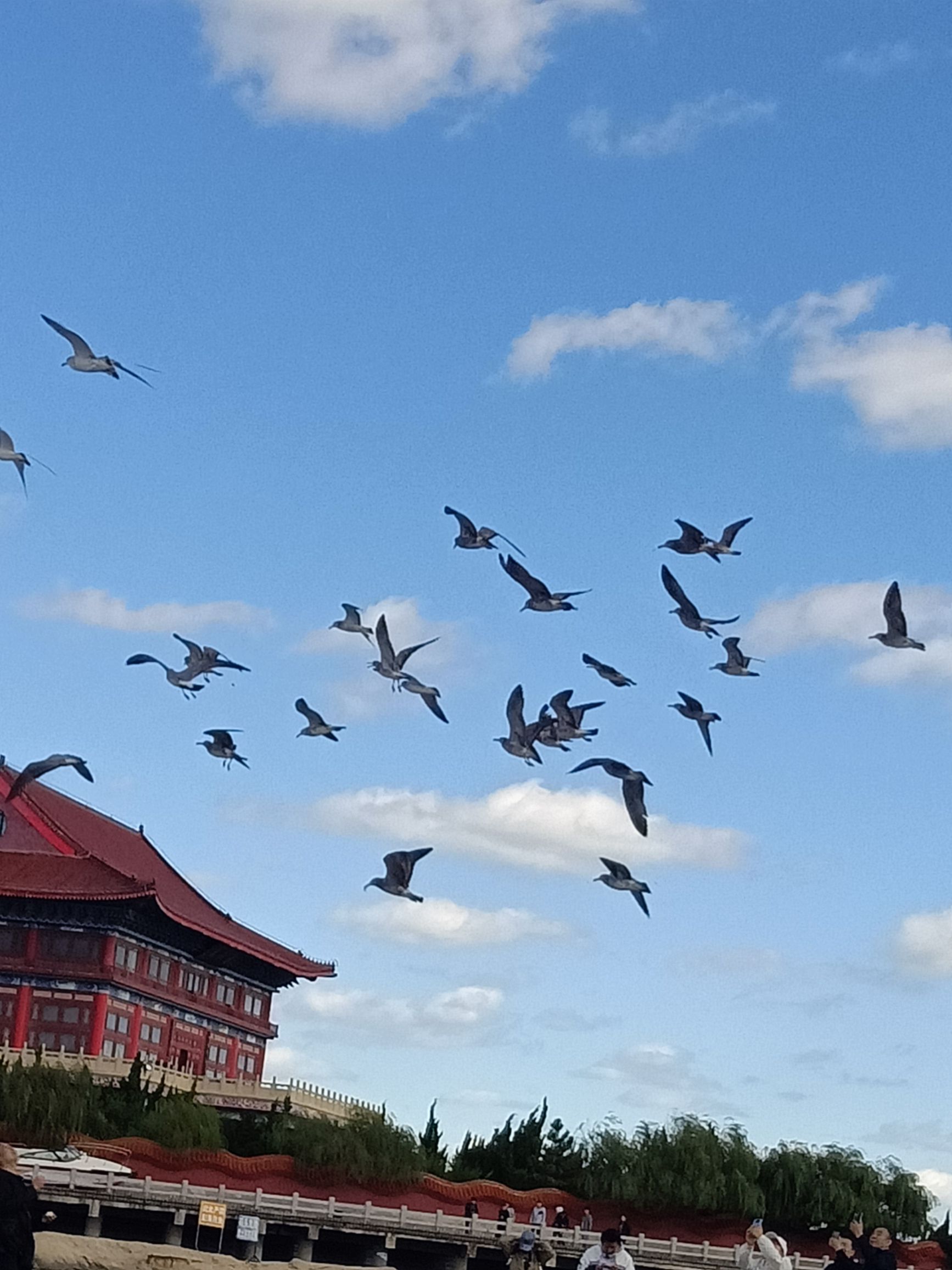 蓬莱仙岛海上游旅行图片 1