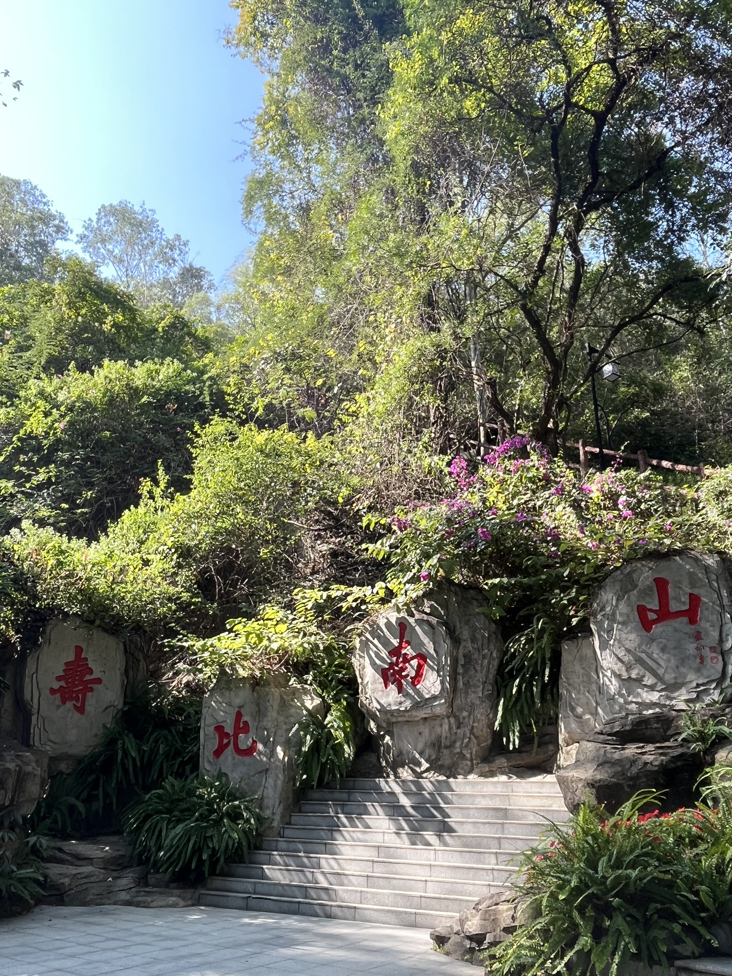 南山公园旅行图片 2