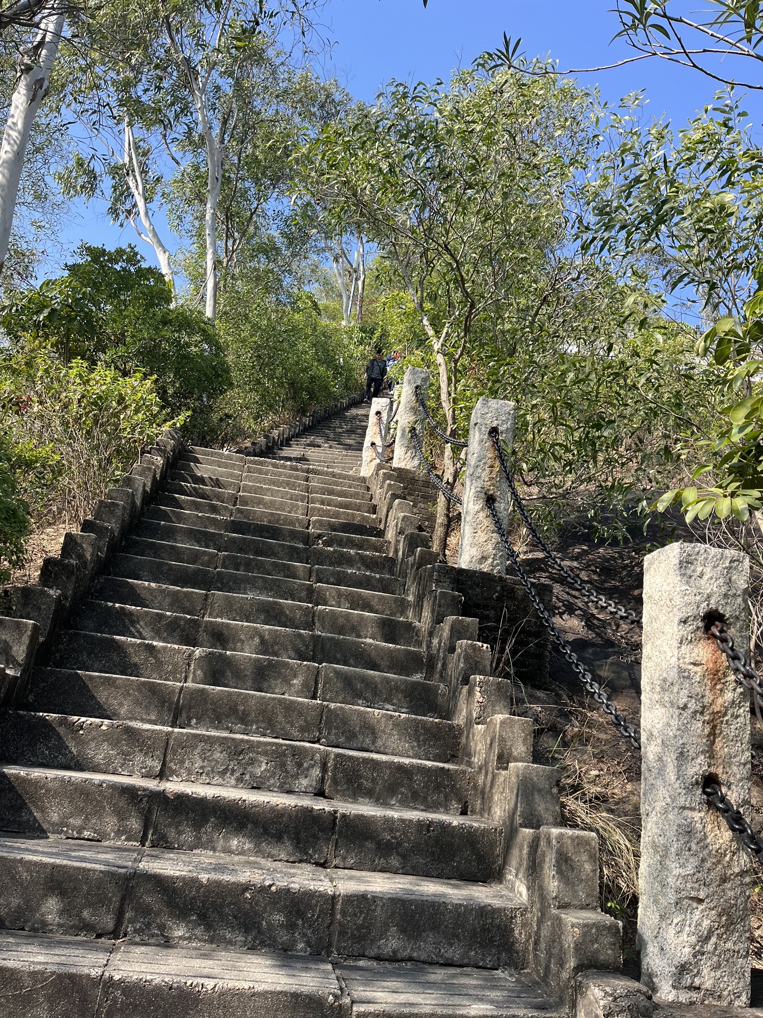 南山公园旅行图片 3